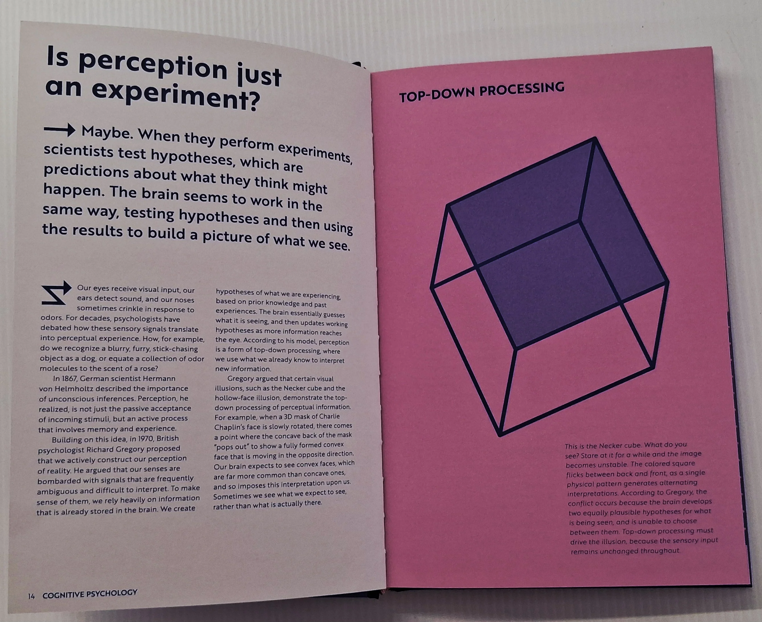 SHORT CUTS PSYCHOLOGY - Jennifer Wild - Image 6