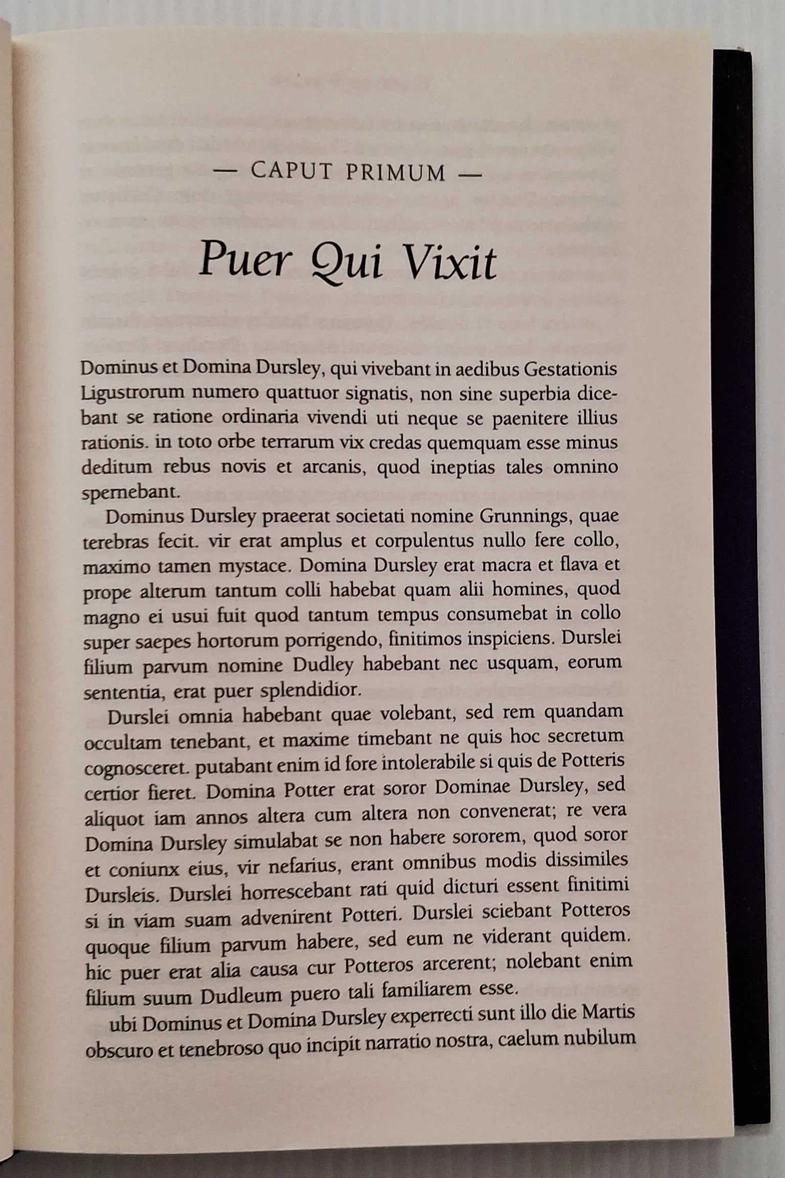 HARRIUS POTTER ET PHILOSOPHI LAPIS - J.K. Rowling - Image 4