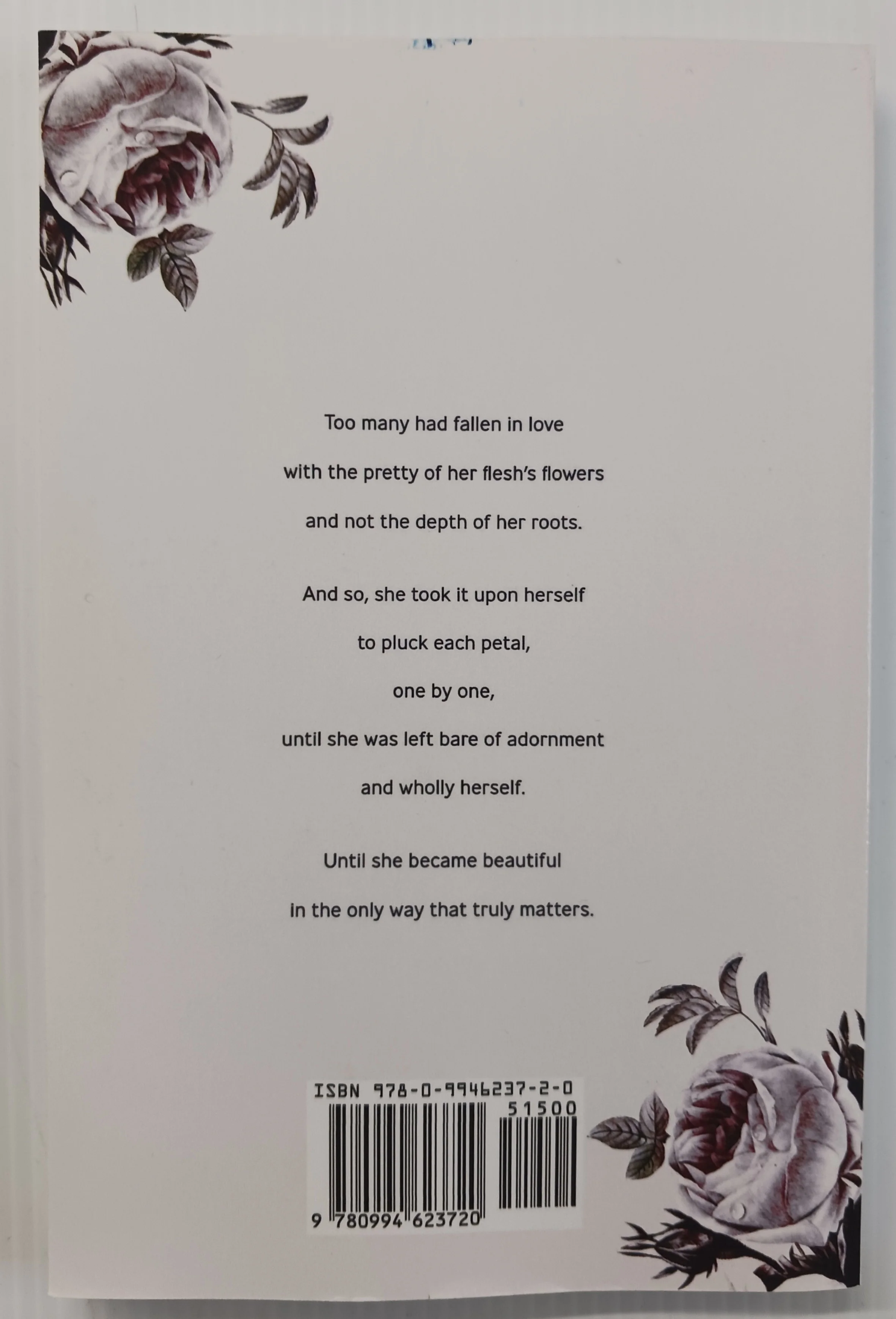 BECOMING BEAUTIFUL - Becca Lee - Image 2