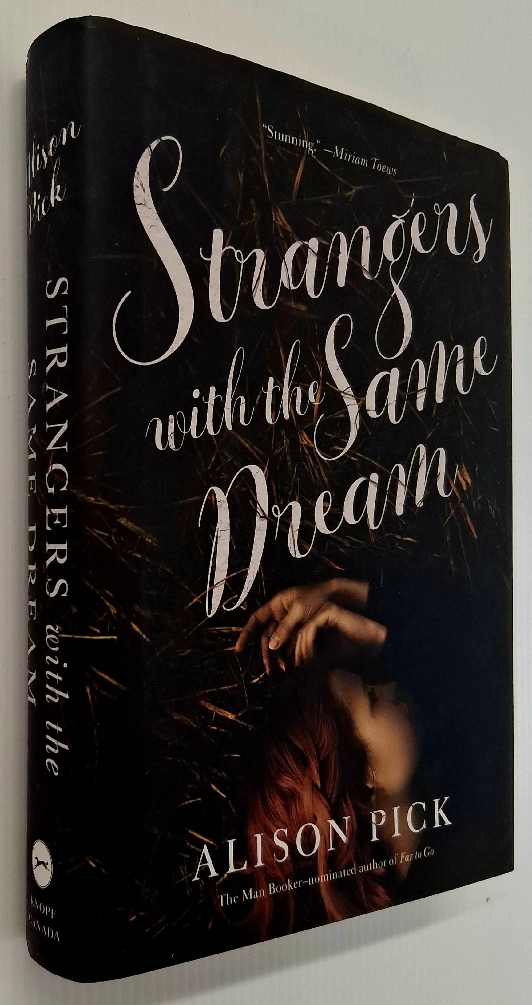 STRANGERS WITH THE SAME DREAM - Alison Pick - Image 4