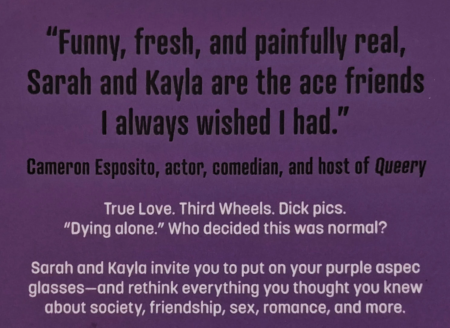 SOUNDS FAKE BUT OKAY - Sarah Costello, Kayla Kaszyca - Image 3