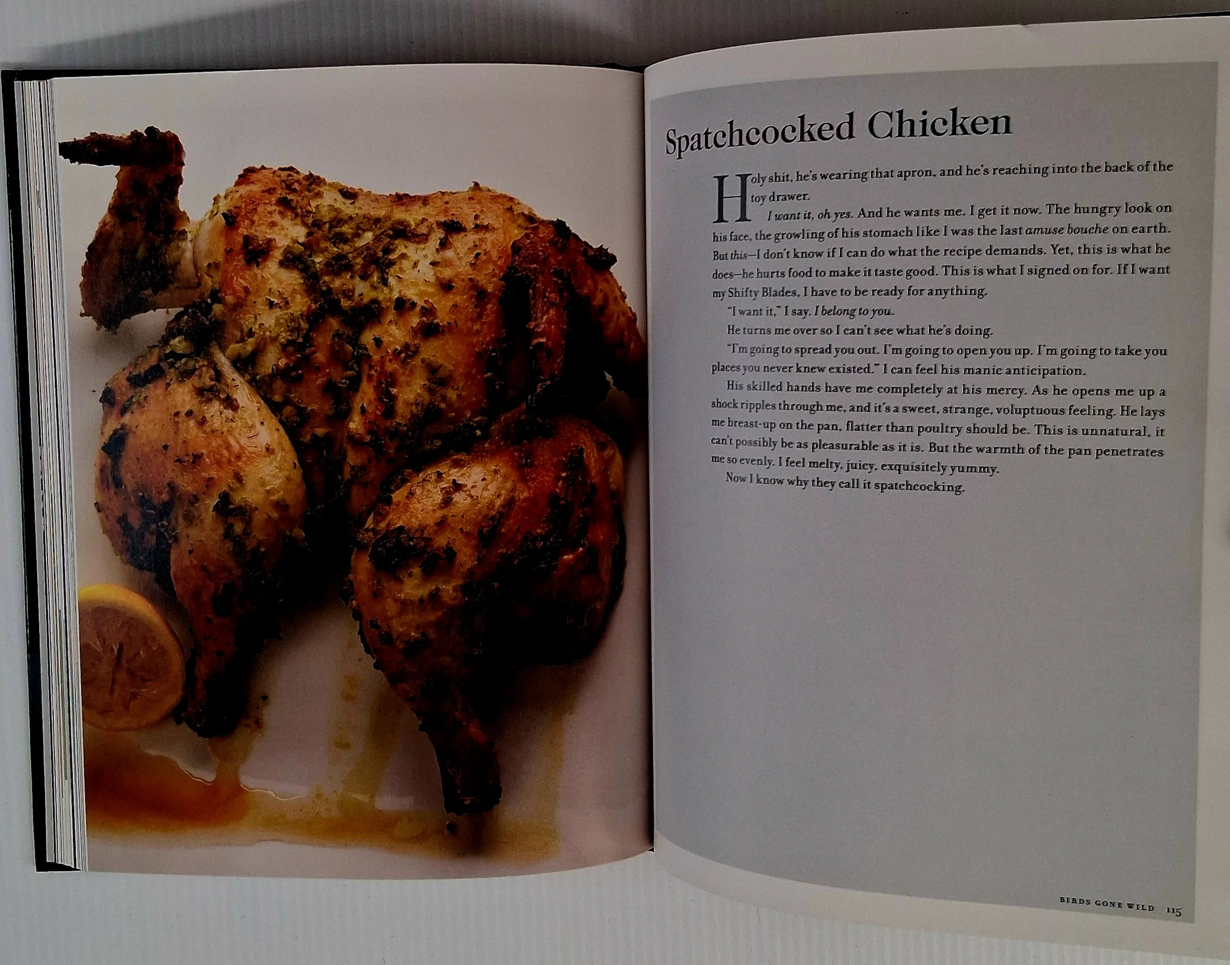 50 SHADES OF CHICKEN - F.L. Fowler - Image 8