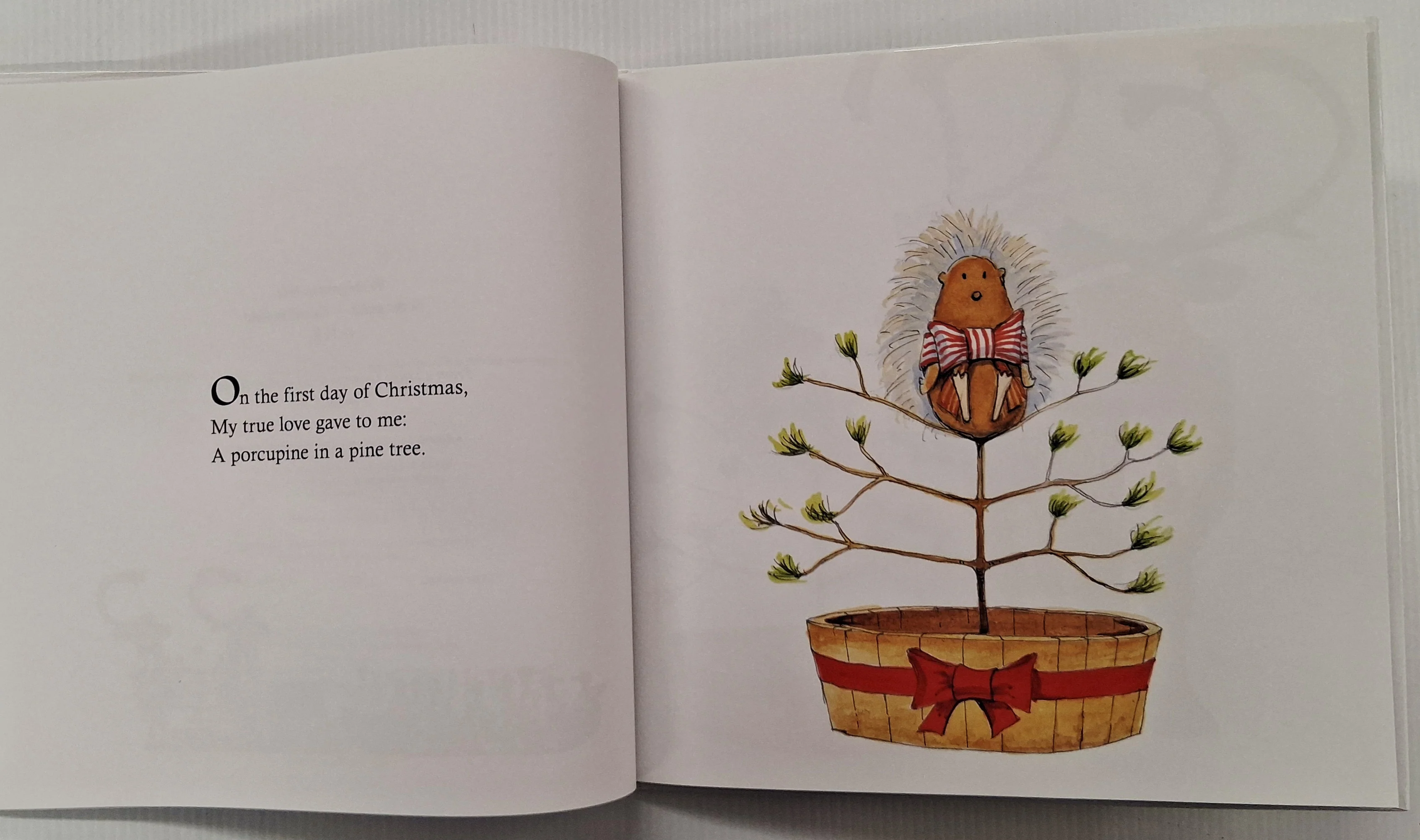 A PORCUPINE IN A PINE TREE - Helaine Becker - Image 5