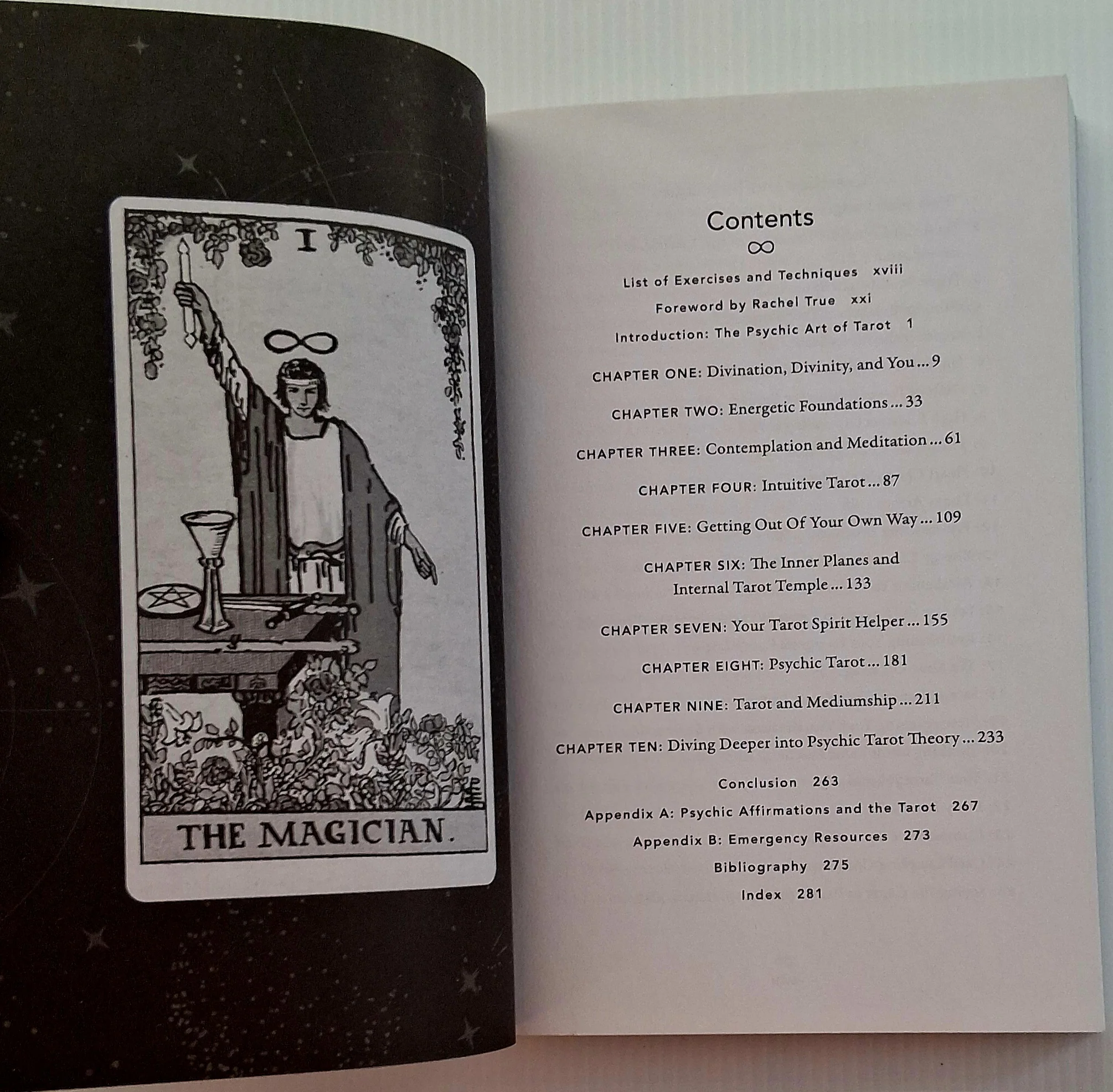 THE PSYCHIC ART OF TAROT - Mat Auryn, Rachel True - Image 4