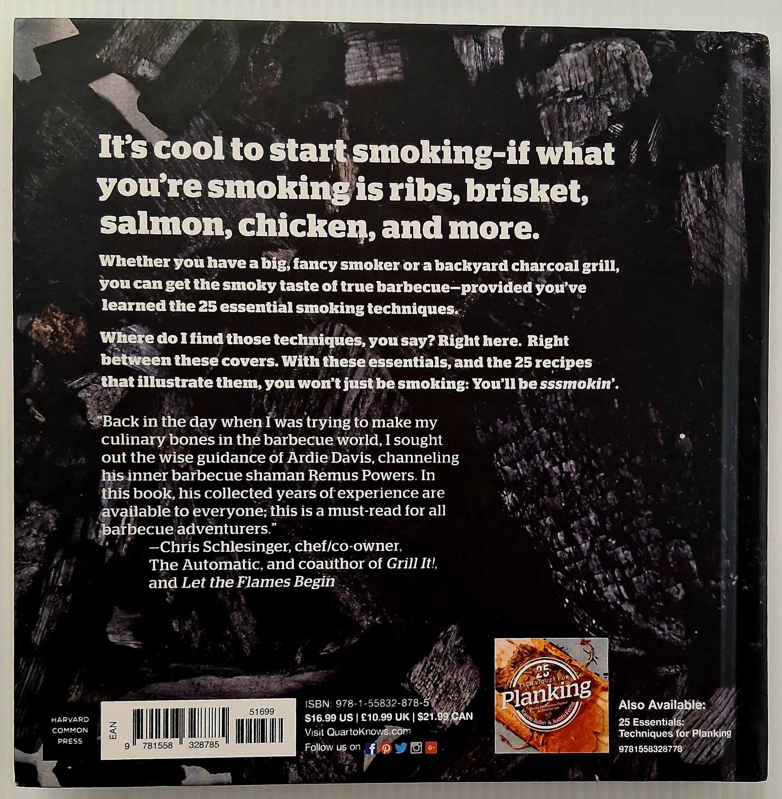 TECHNIQUES FOR SMOKING - Ardie A. Davis - Image 2