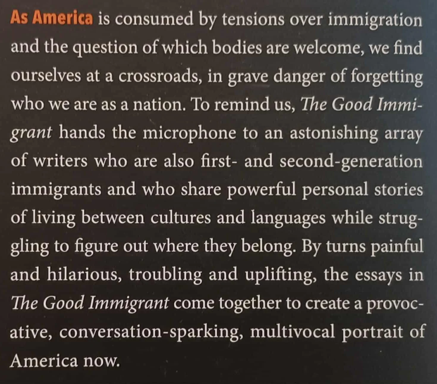 THE GOOD IMMIGRANT - Nikesh Shukla, Chimene Suleyman - Image 3