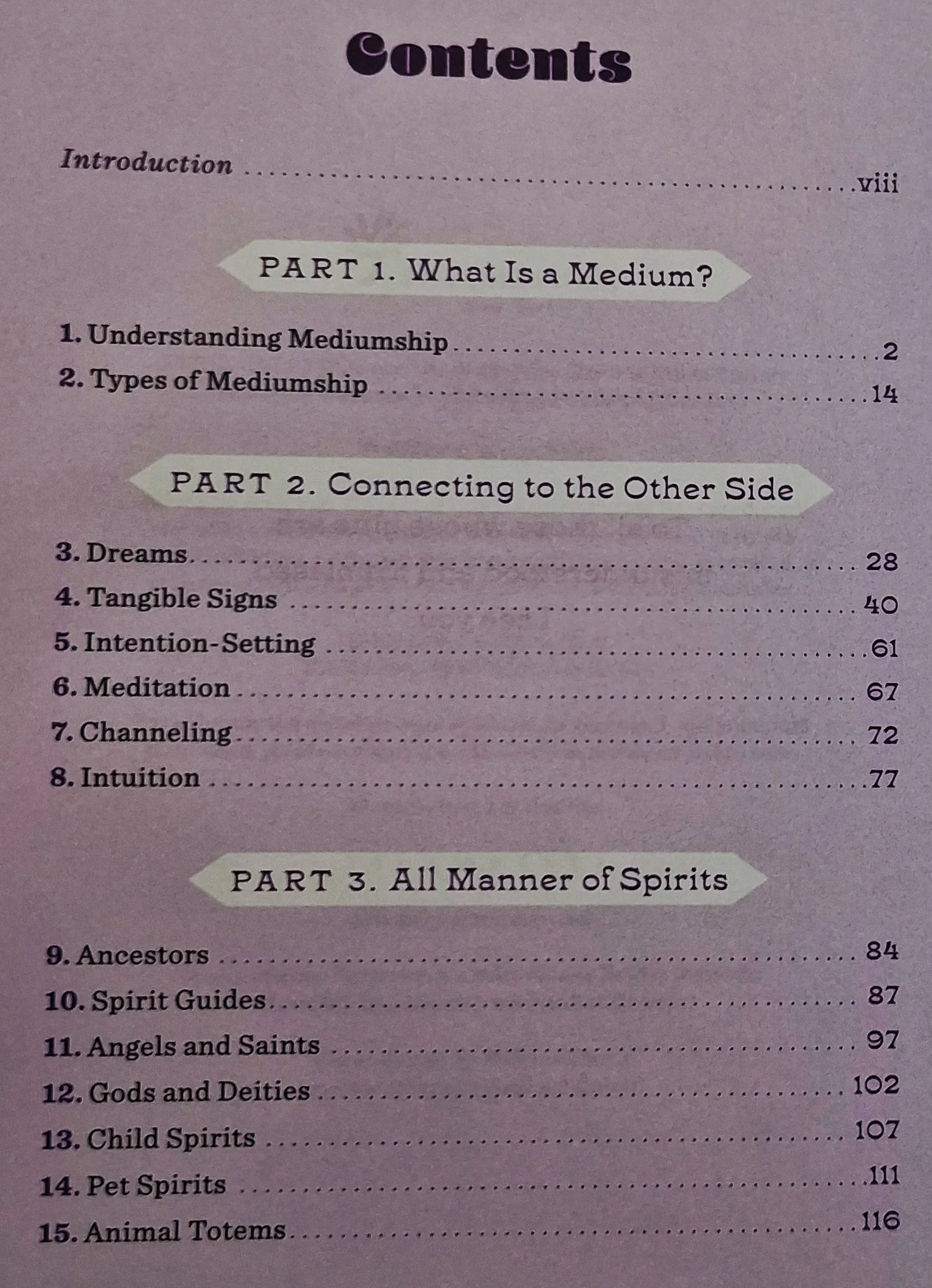VIBES FROM THE OTHER SIDE - Catherine Allan - Image 4