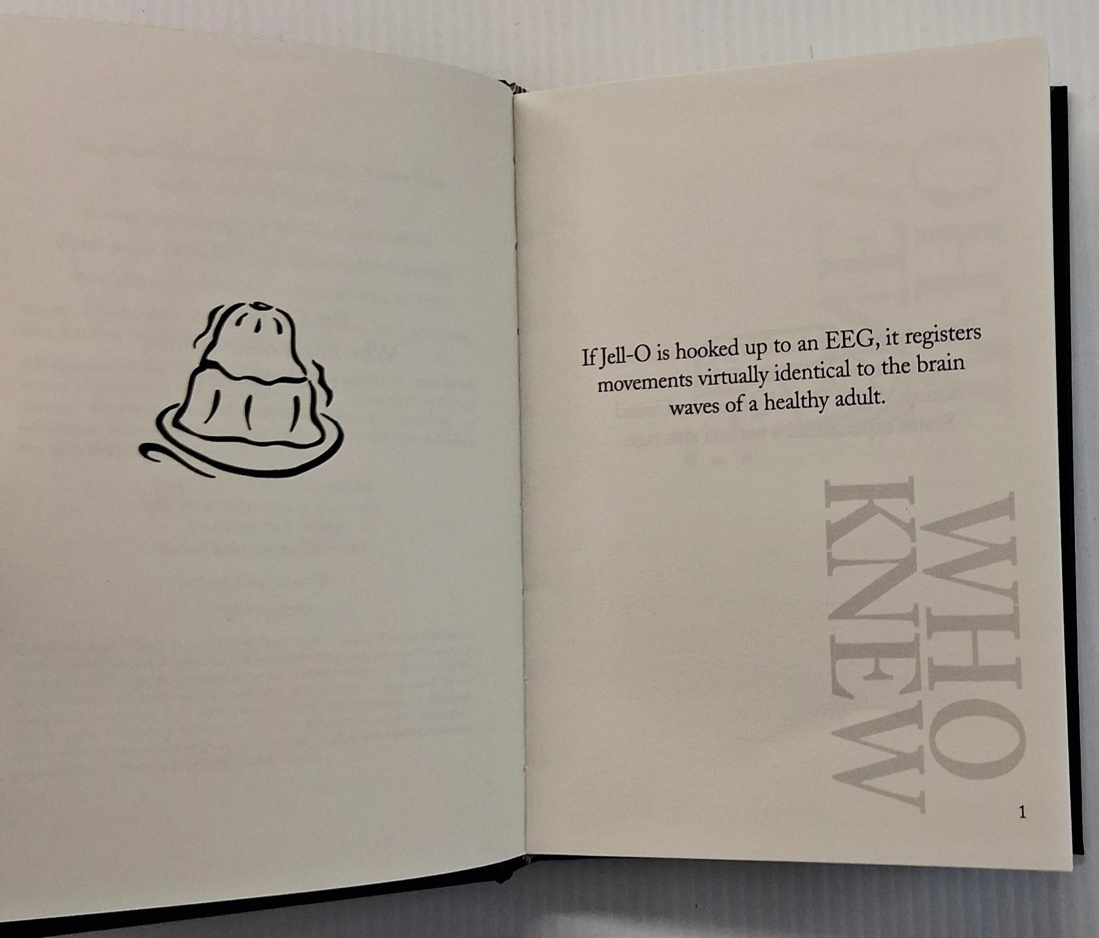 WHO KNEW? - David Hoffman - Image 4