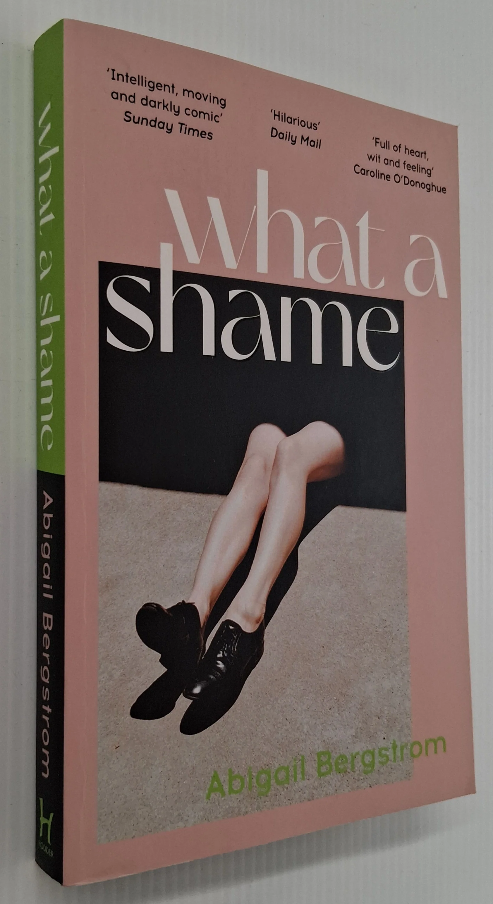 WHAT A SHAME - Abigail Bergstrom - Image 4