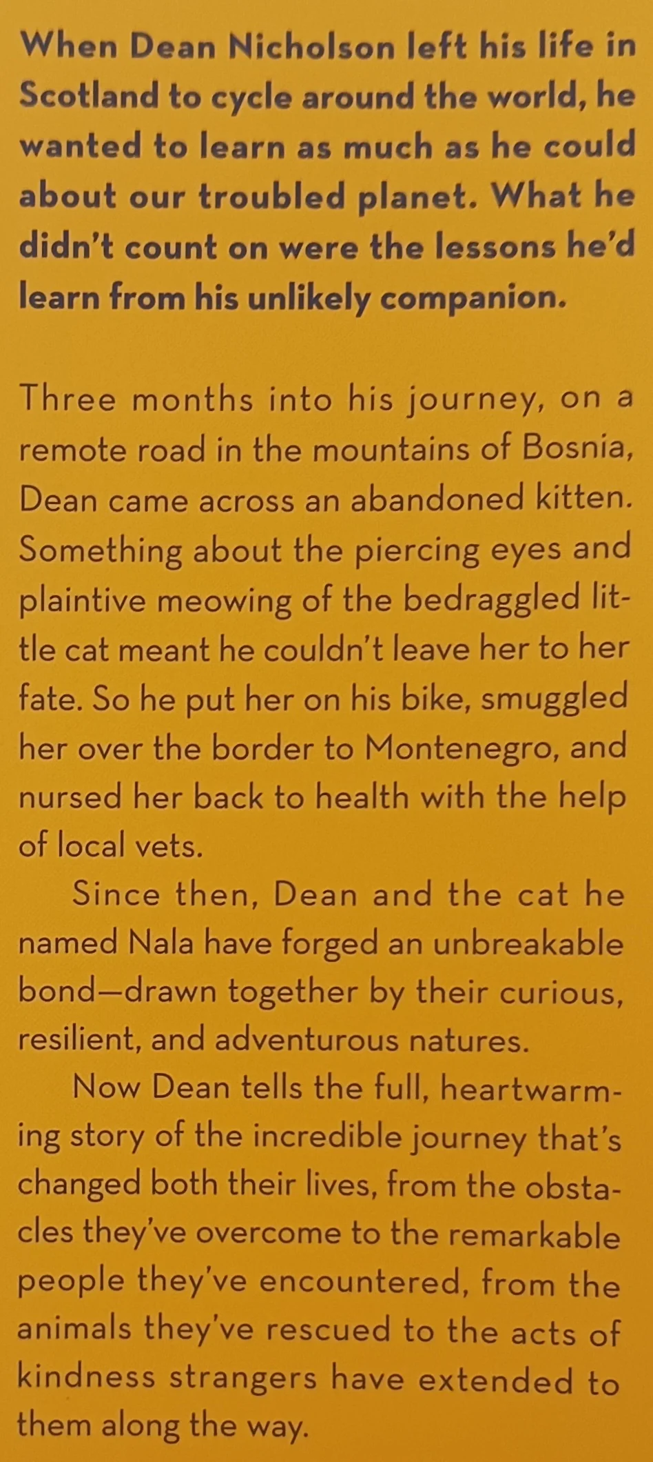 NALA'S WORLD - Dean Nicholson, Garry Jenkins - Image 3