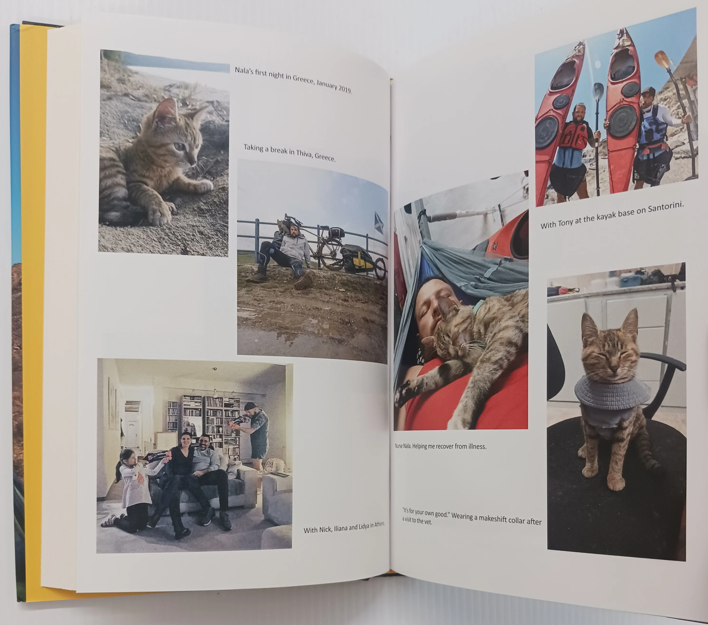 NALA'S WORLD - Dean Nicholson, Garry Jenkins - Image 6