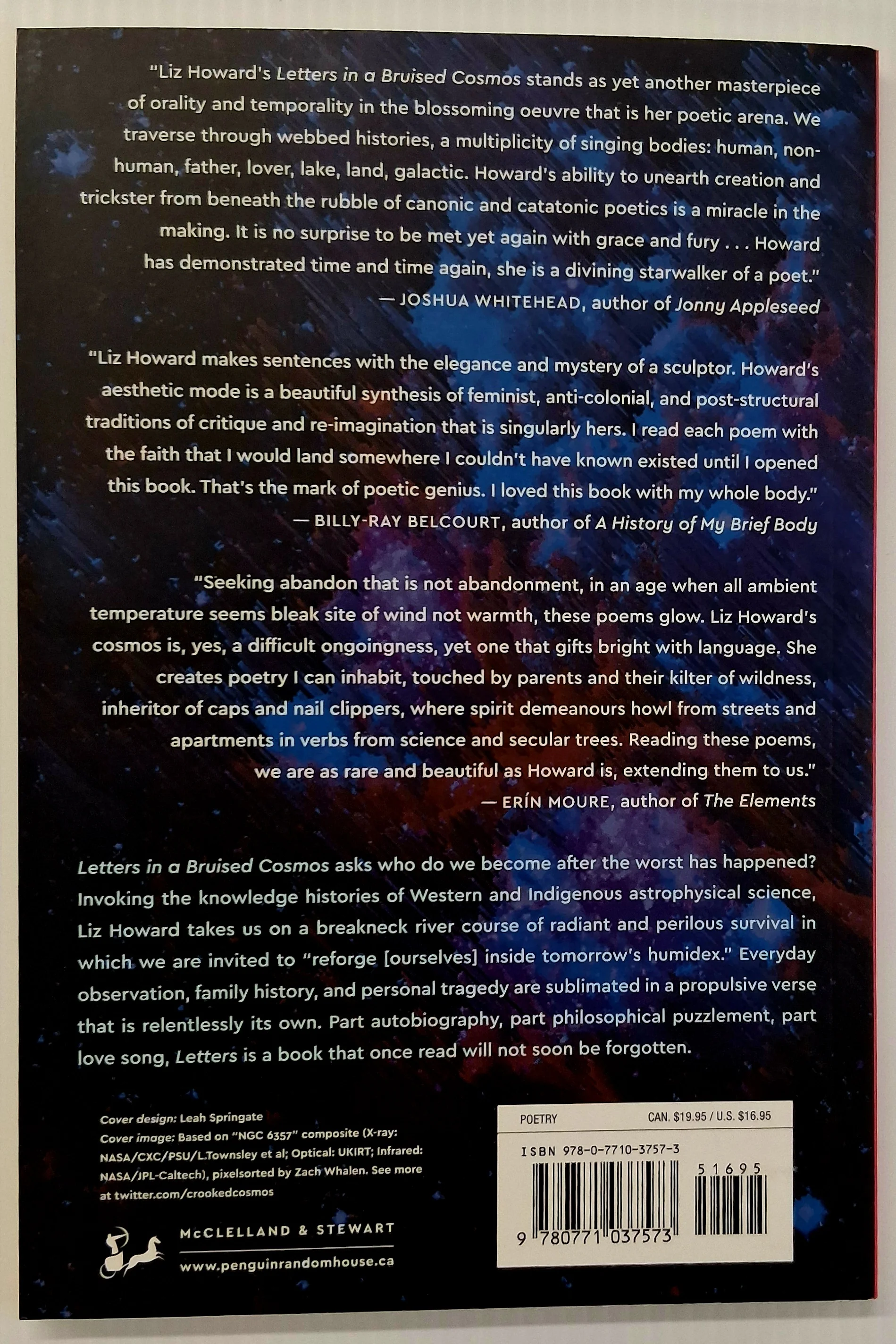 LETTERS IN A BRUISED COSMOS - Liz Howard - Image 2