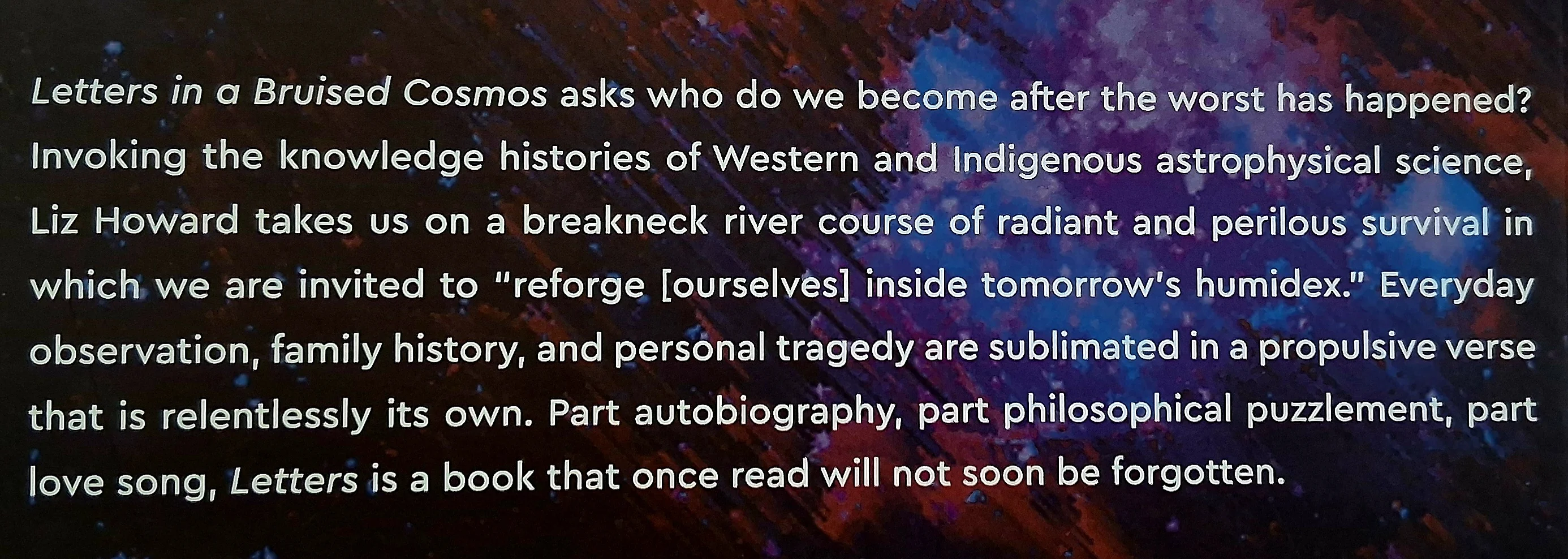 LETTERS IN A BRUISED COSMOS - Liz Howard - Image 3