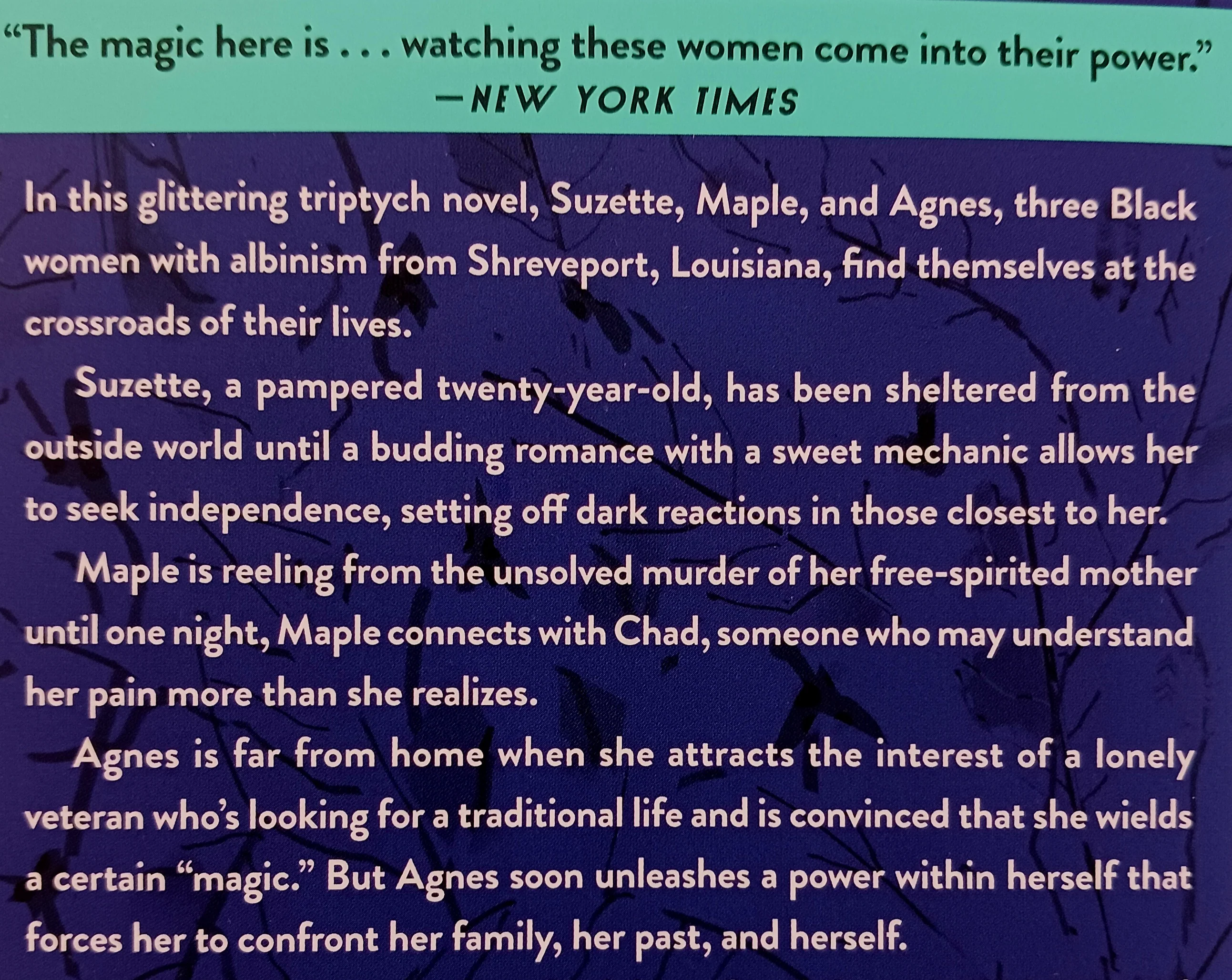 NOBODY'S MAGIC - Destiny O. Birdsong - Image 3