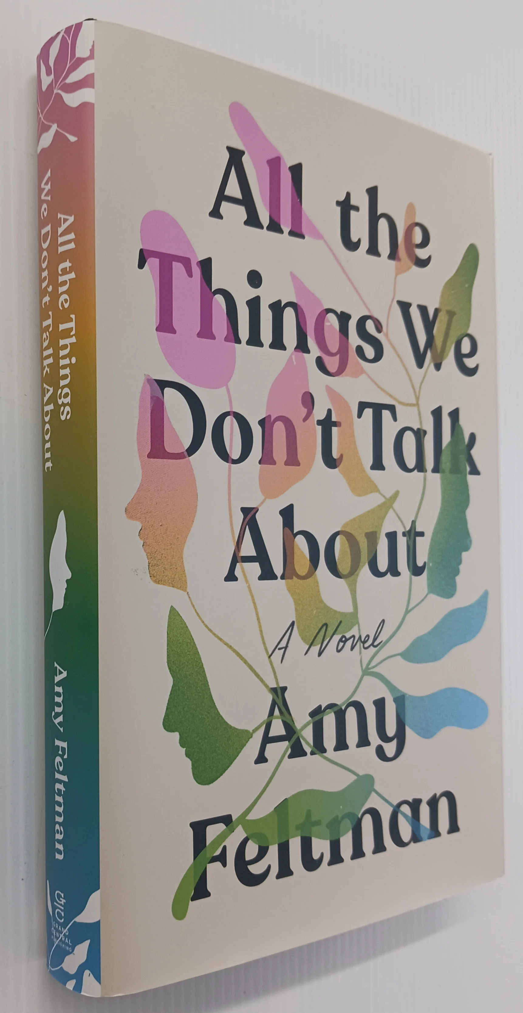 ALL THE THINGS WE DON'T TALK ABOUT - Amy Feltman - Image 4