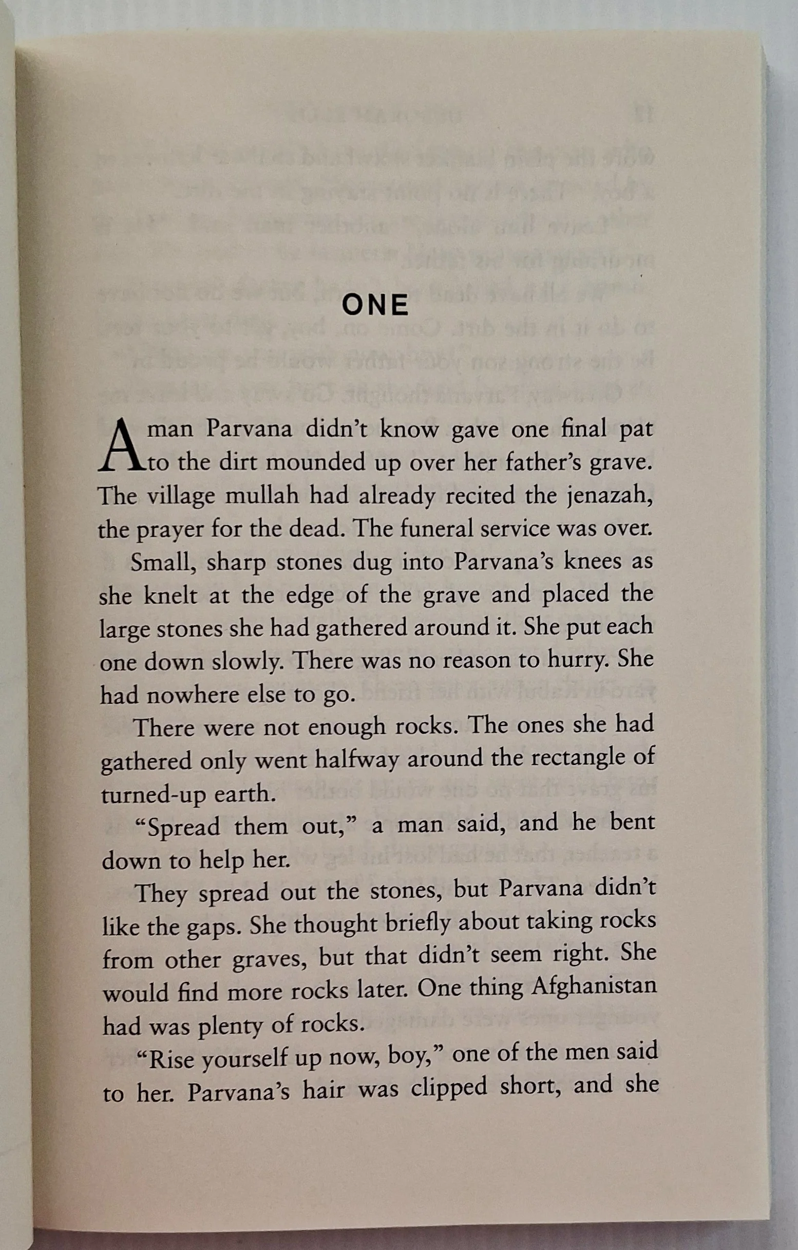PARVANA'S JOURNEY - Deborah Ellis - Image 5