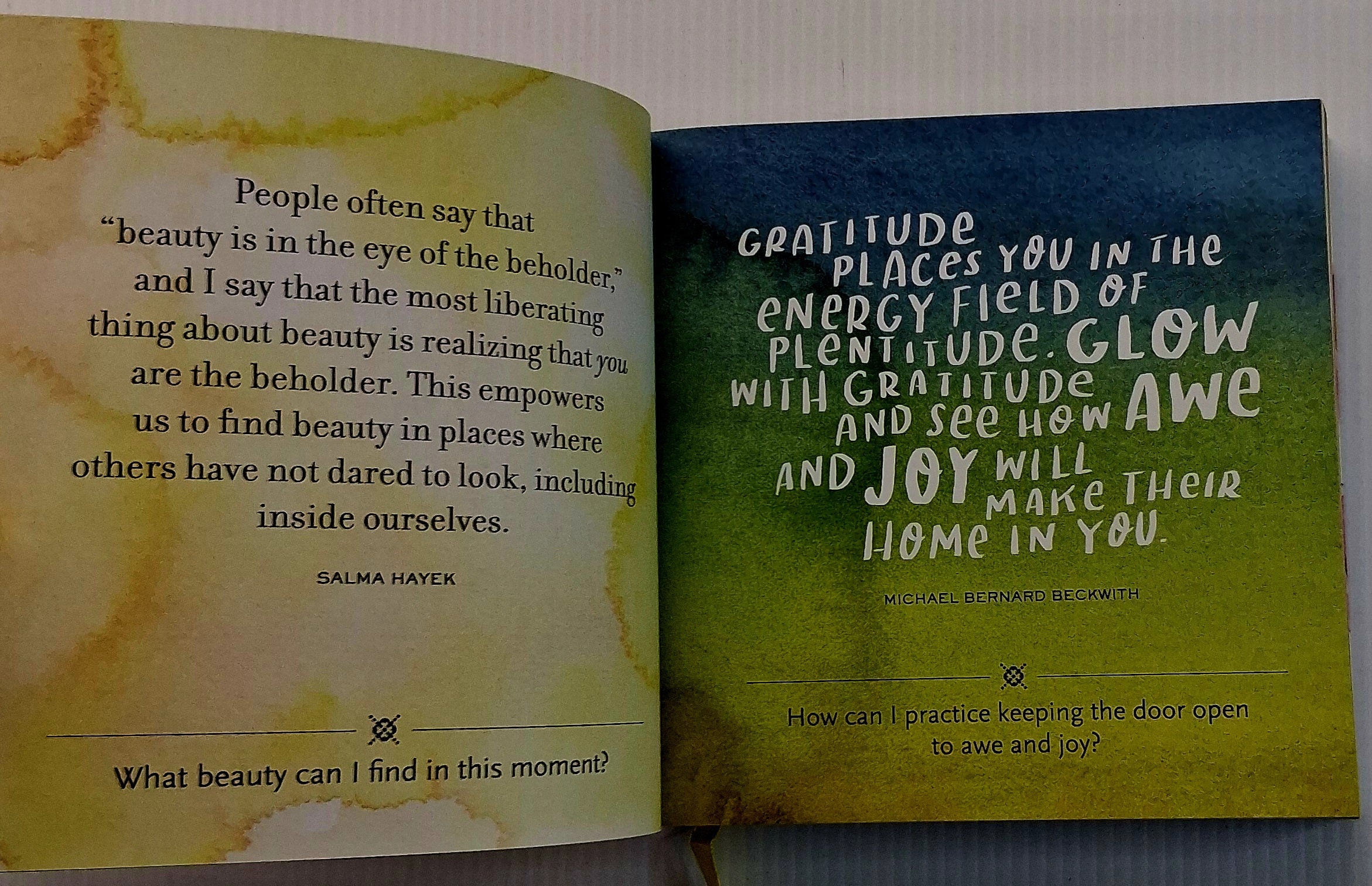 EVERYDAY GRATITUDE - A Network for Grateful Living, David Steindl-Rast, Kristi Nelson - Image 5