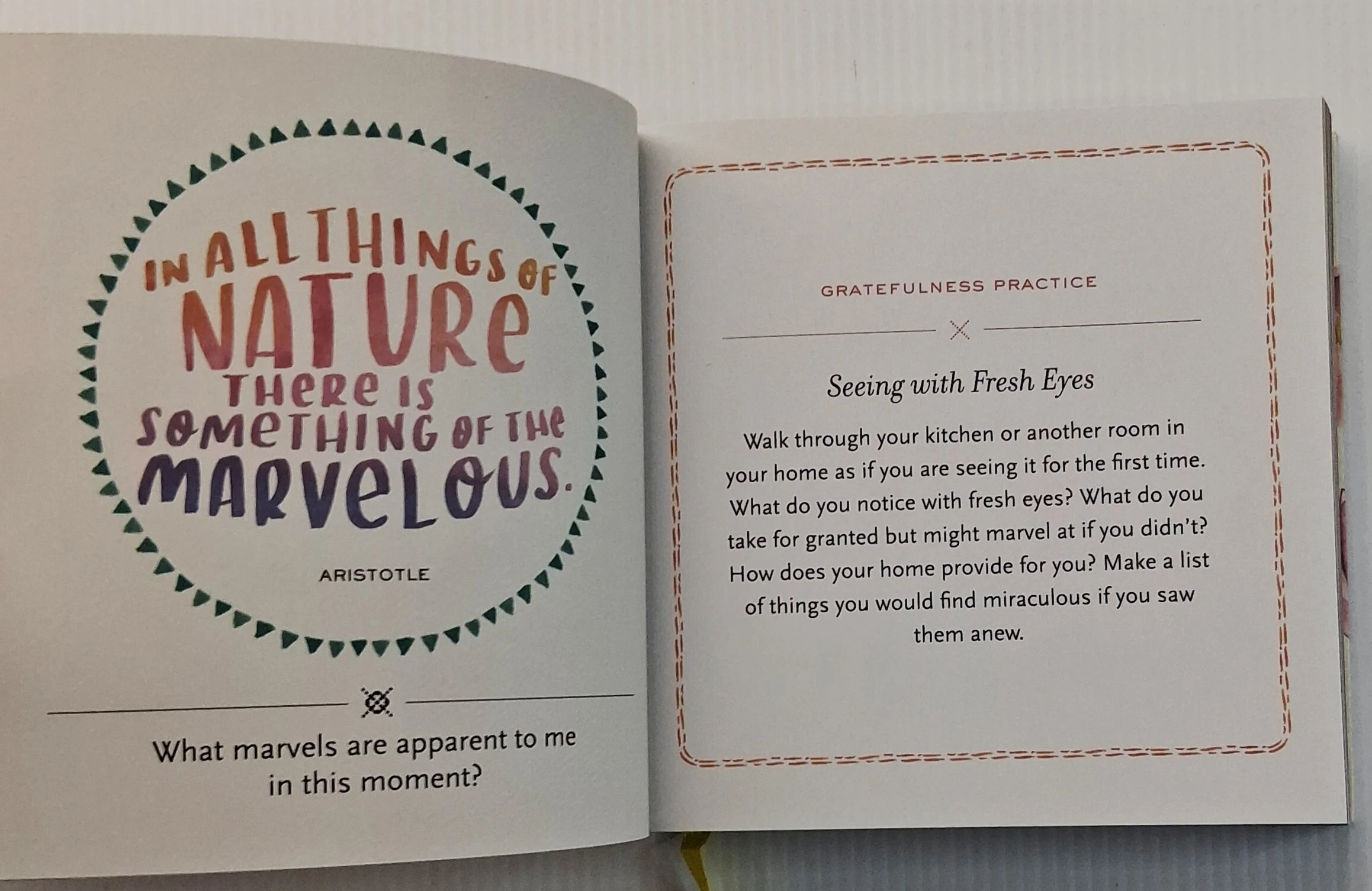 EVERYDAY GRATITUDE - A Network for Grateful Living, David Steindl-Rast, Kristi Nelson - Image 6