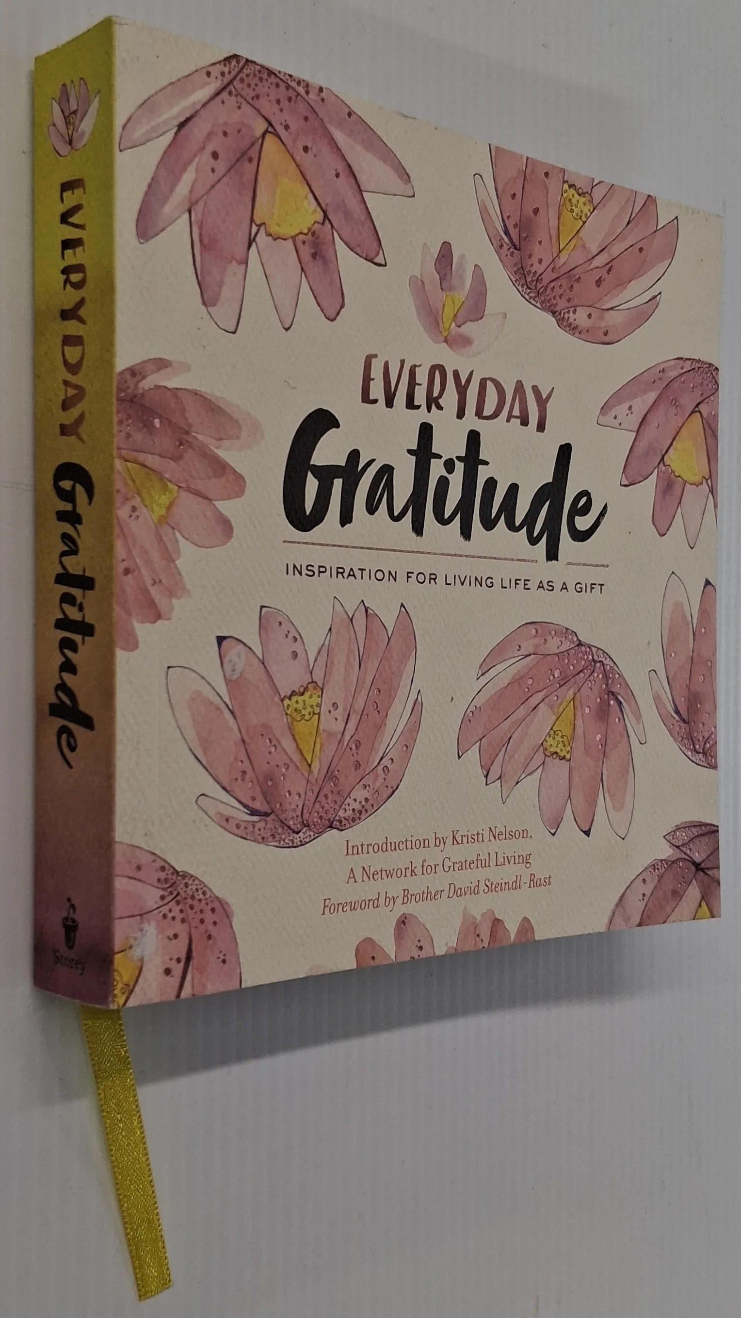 EVERYDAY GRATITUDE - A Network for Grateful Living, David Steindl-Rast, Kristi Nelson - Image 8