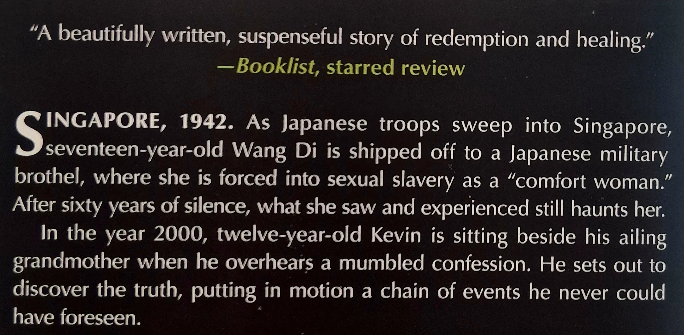 HOW WE DISAPPEARED - Jing-Jing Lee - Image 3