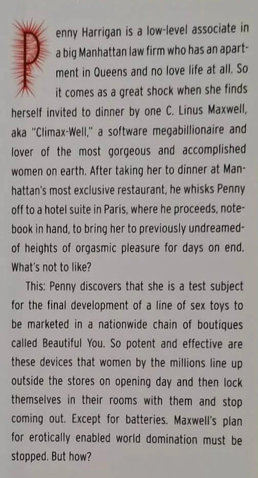 BEAUTIFUL YOU - Chuck Palahniuk - Image 3