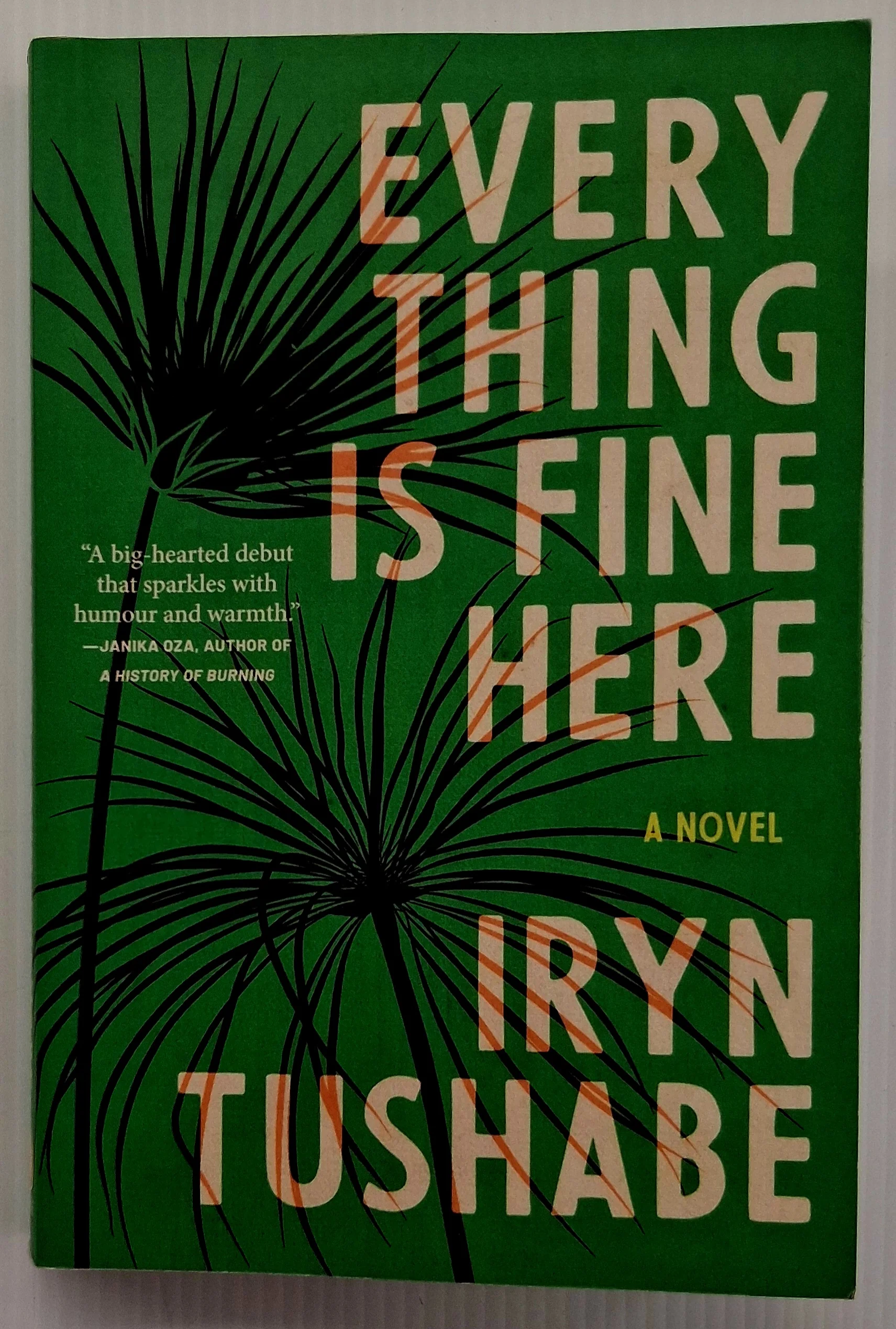 EVERYTHING HERE IS FINE - Iryn Tushabe