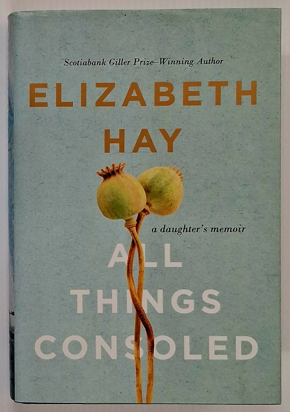 ALL THINGS CONSOLED - Elizabeth Hay