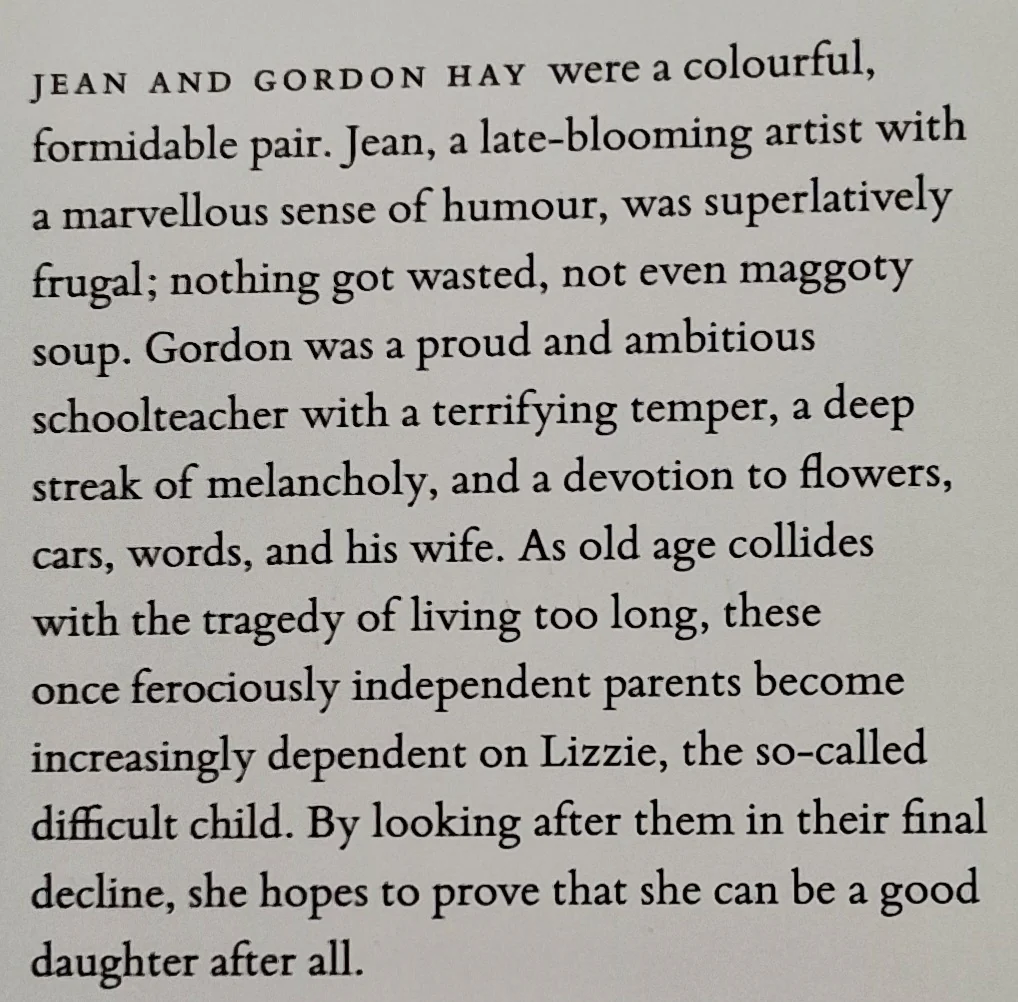 ALL THINGS CONSOLED - Elizabeth Hay - Image 3