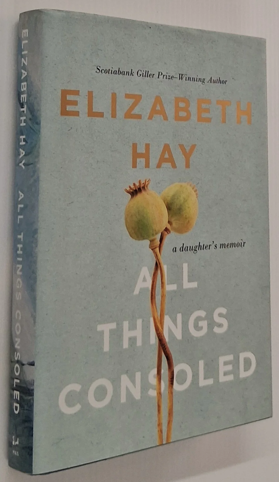 ALL THINGS CONSOLED - Elizabeth Hay - Image 6