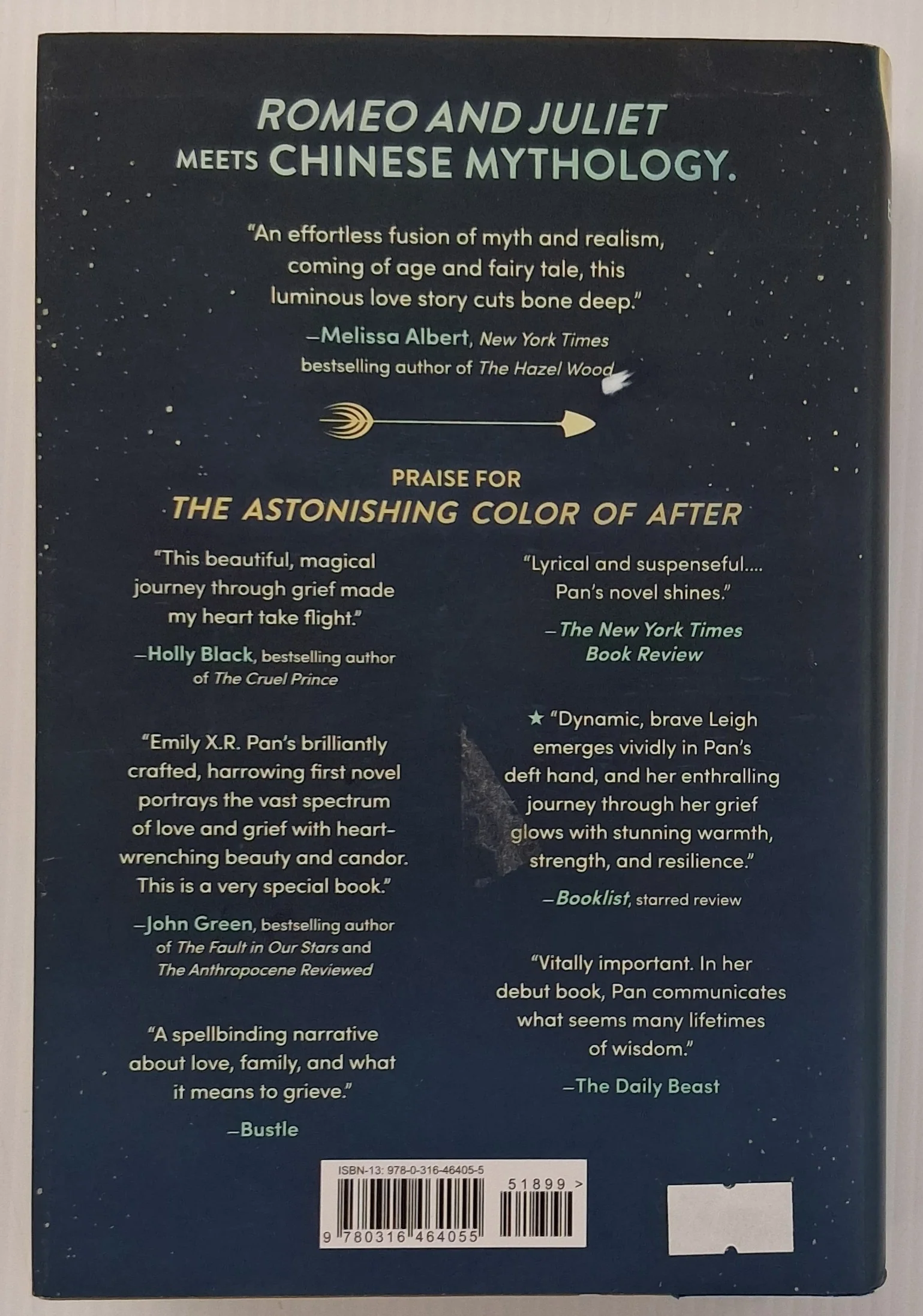 AN ARROW TO THE MOON - Emily X. R. Pan - Image 2