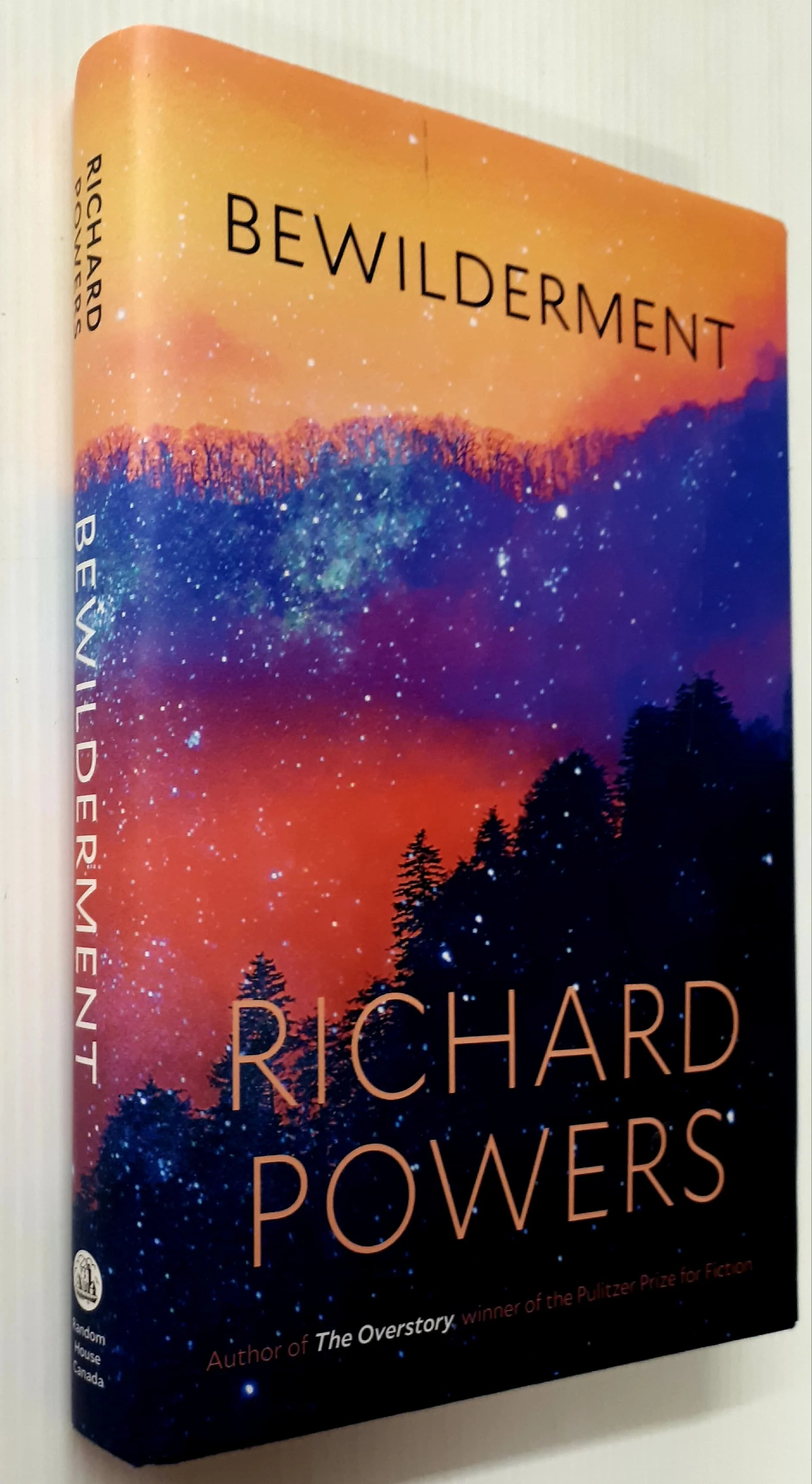 BEWILDERMENT - Richard Powers - Image 4