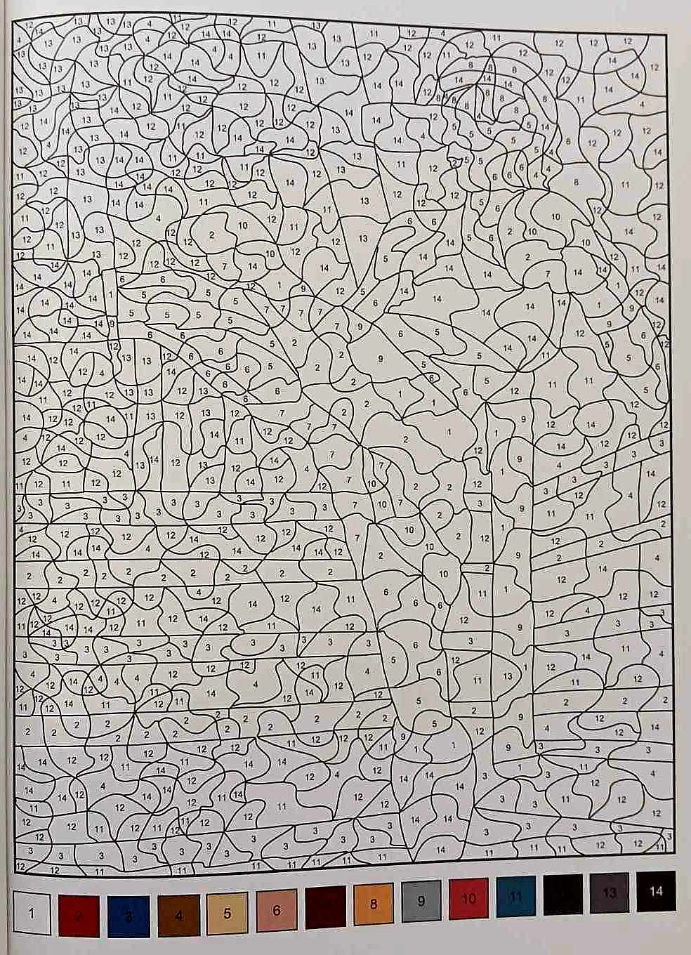 COLOUR BY NUMBERS - Coup d'oeil Publishing - Image 3