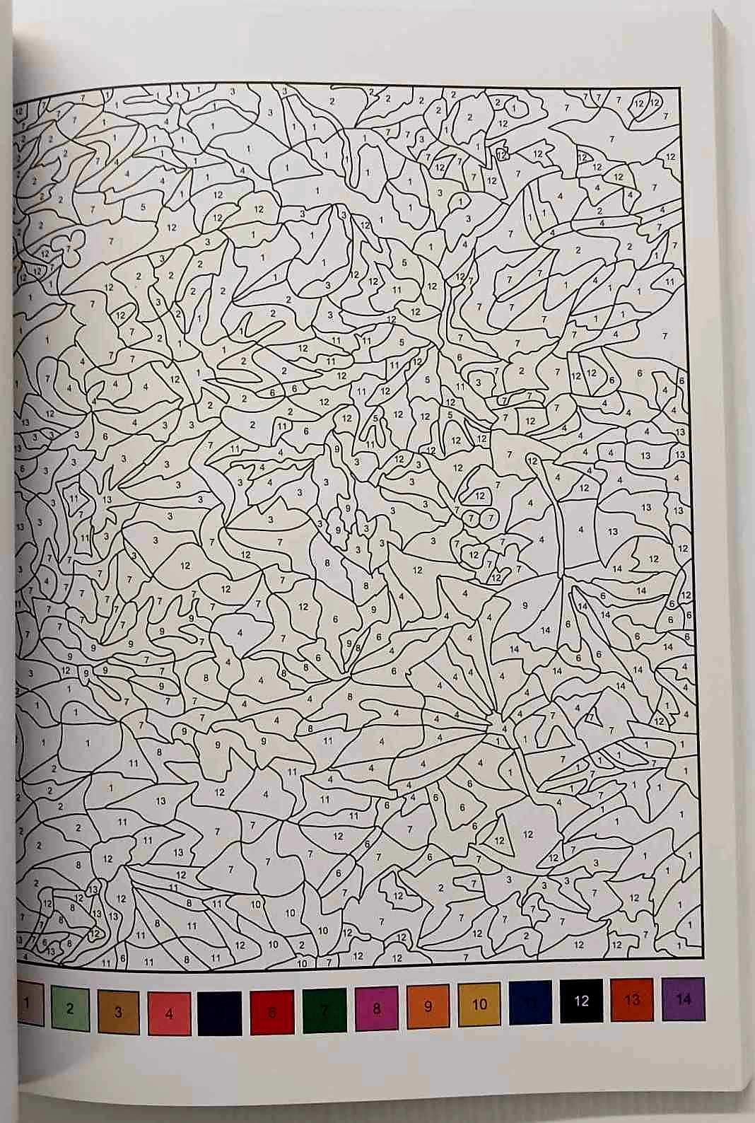 COLOUR BY NUMBERS - Coup d'oeil Publishing - Image 6