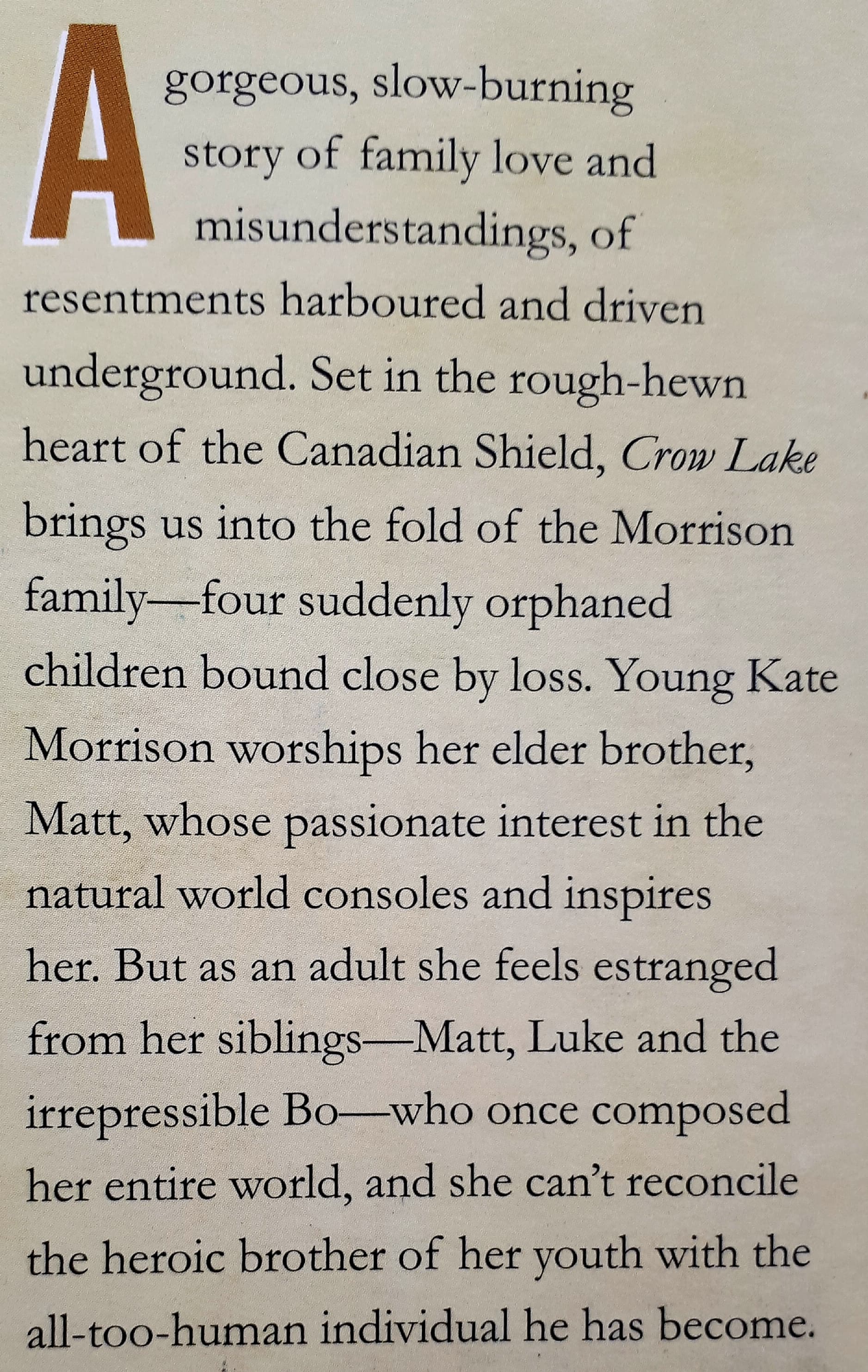 CROW LAKE - Mary Lawson - Image 3