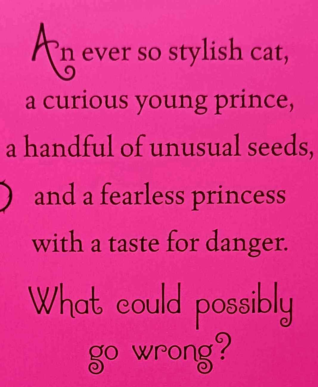DANGEROUSLY EVER AFTER - Dashka Slater - Image 3