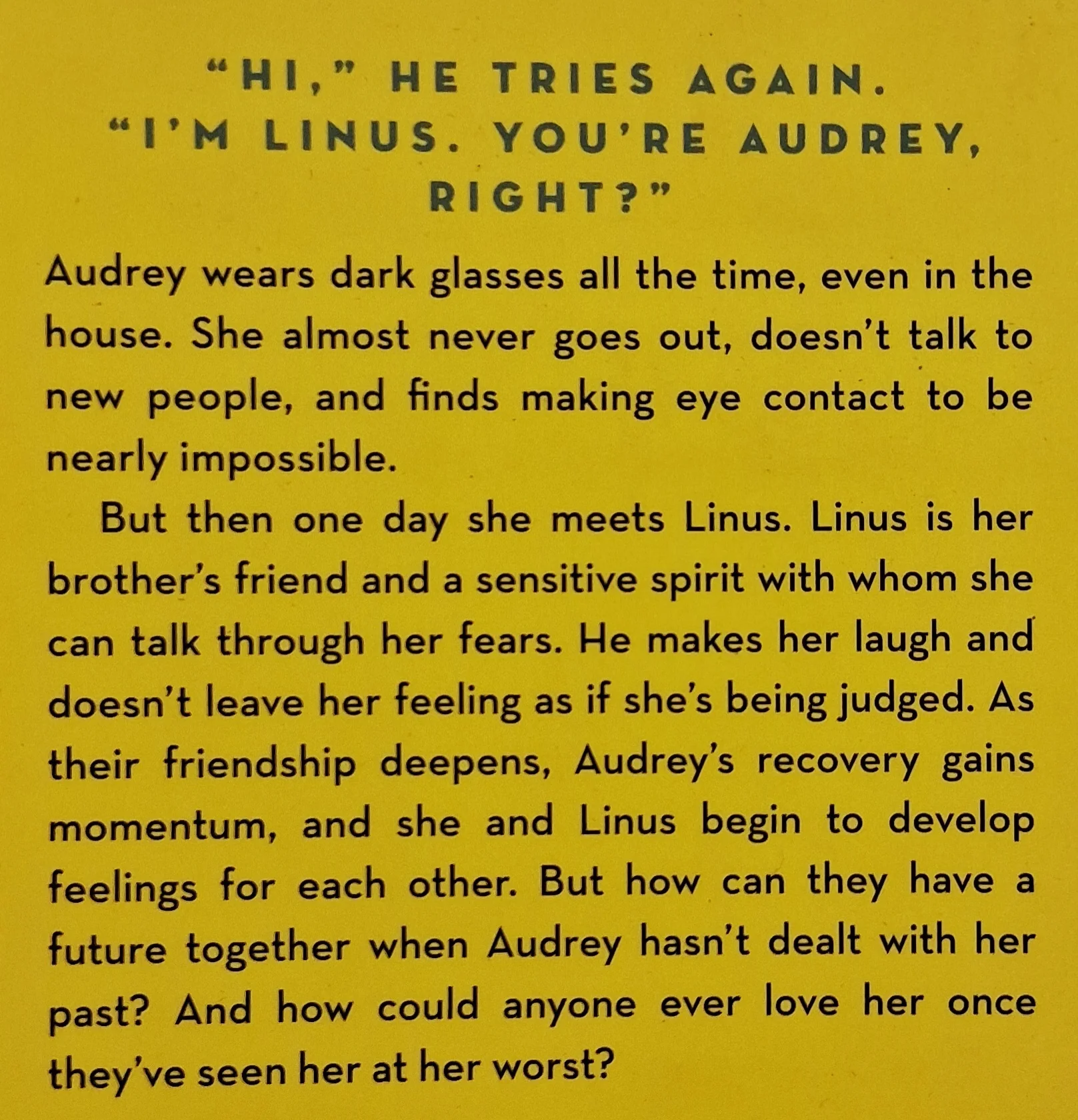 FINDING AUDREY - Sophie Kinsella - Image 3