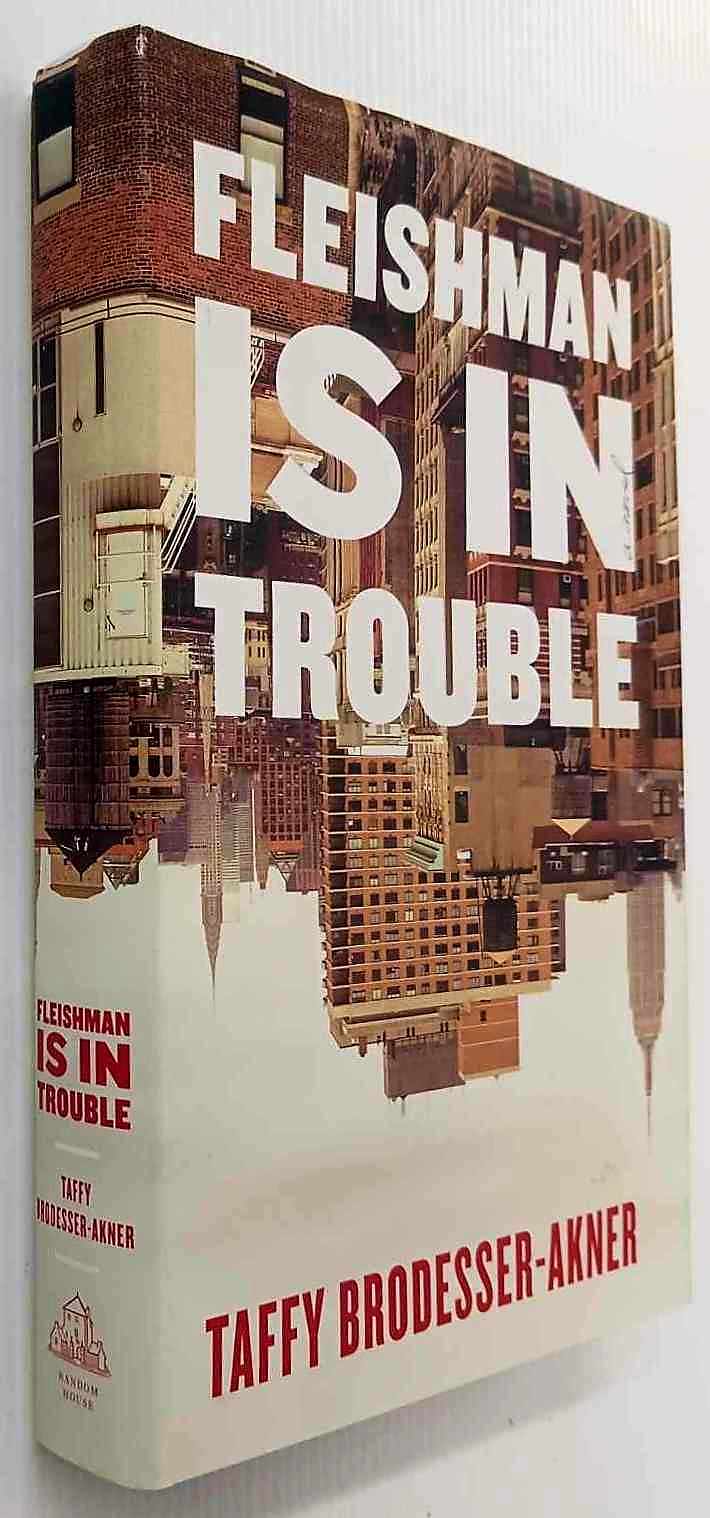 FLEISHMAN IS IN TROUBLE - Taffy Brodesser-Akner - Image 4