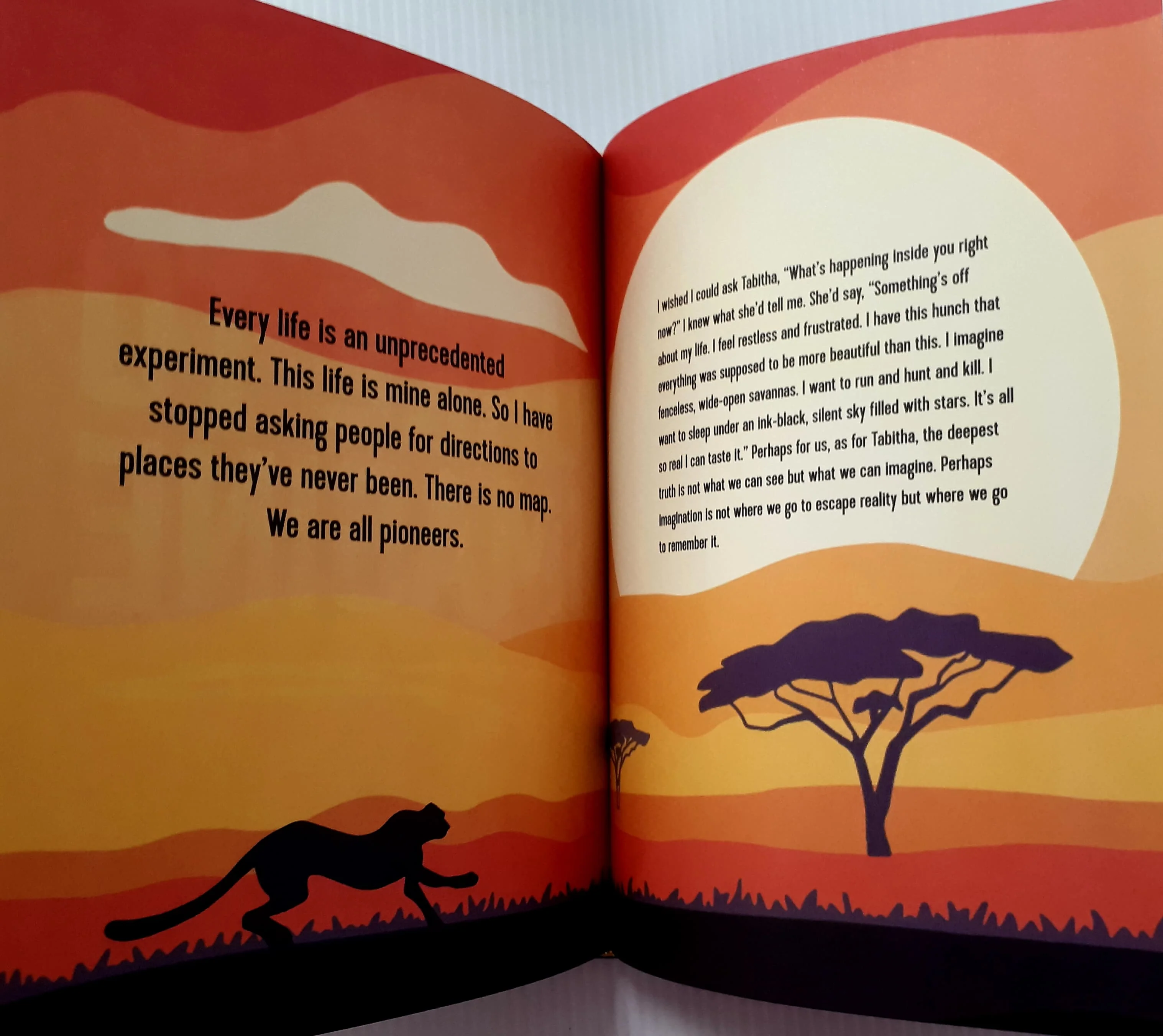 GET UNTAMED (JOURNAL) - Glennon Doyle - Image 10