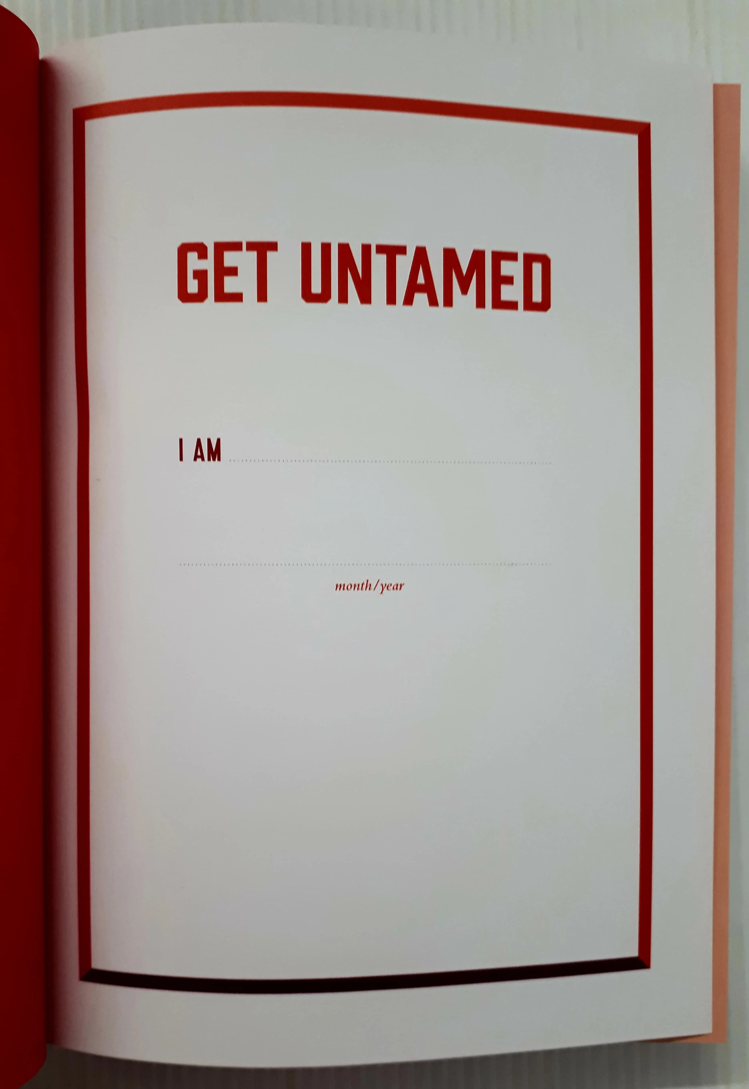 GET UNTAMED (JOURNAL) - Glennon Doyle - Image 4