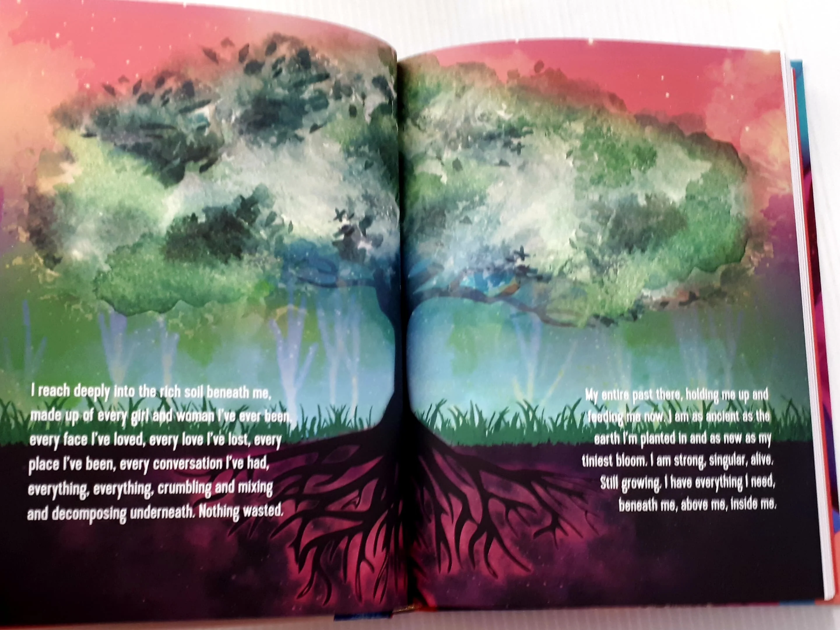 GET UNTAMED (JOURNAL) - Glennon Doyle - Image 7