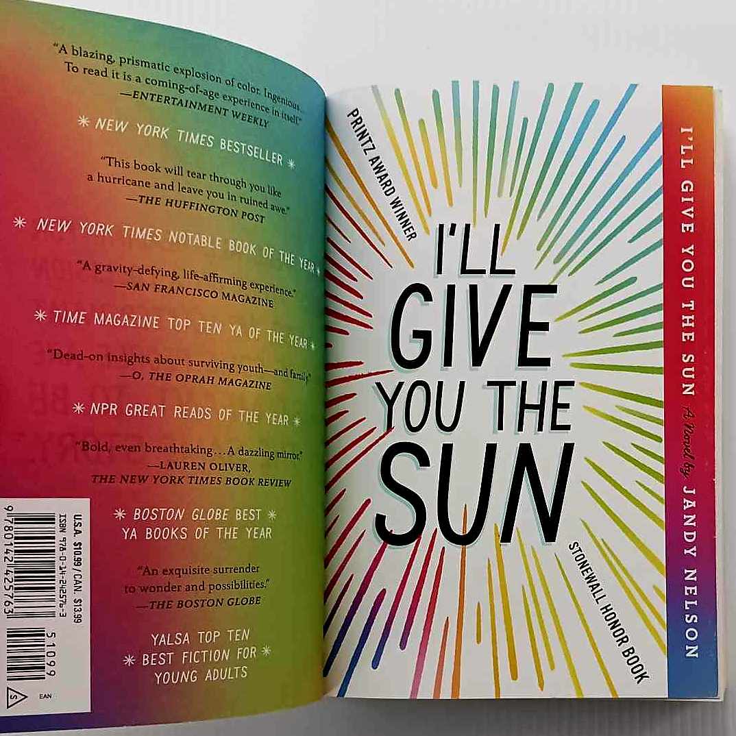 I'LL GIVE YOU THE SUN - Jandy Nelson - Image 4