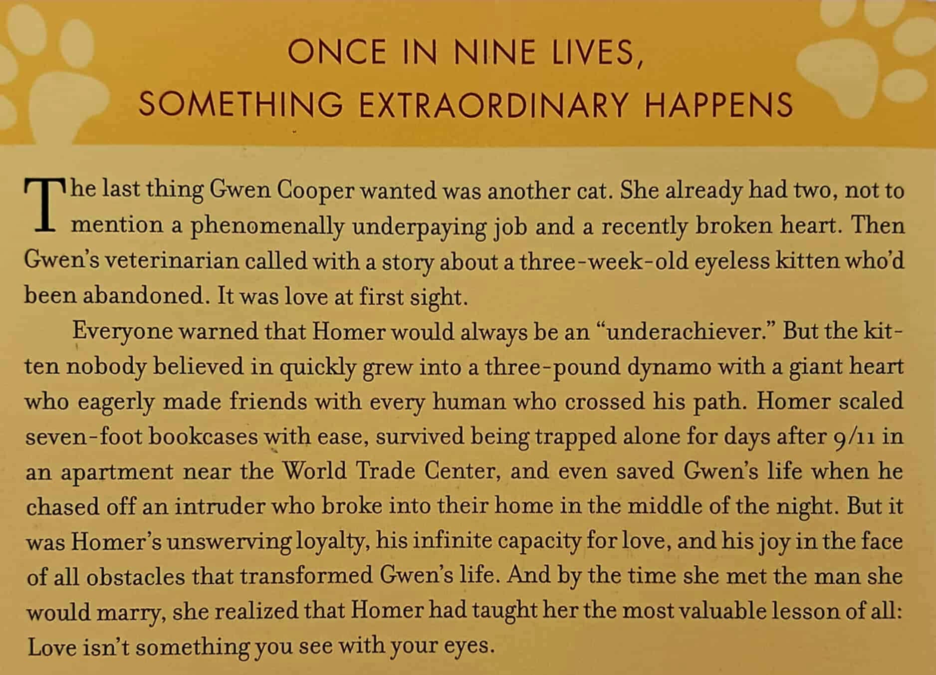 HOMER'S ODYSSEY - Gwen Cooper - Image 3