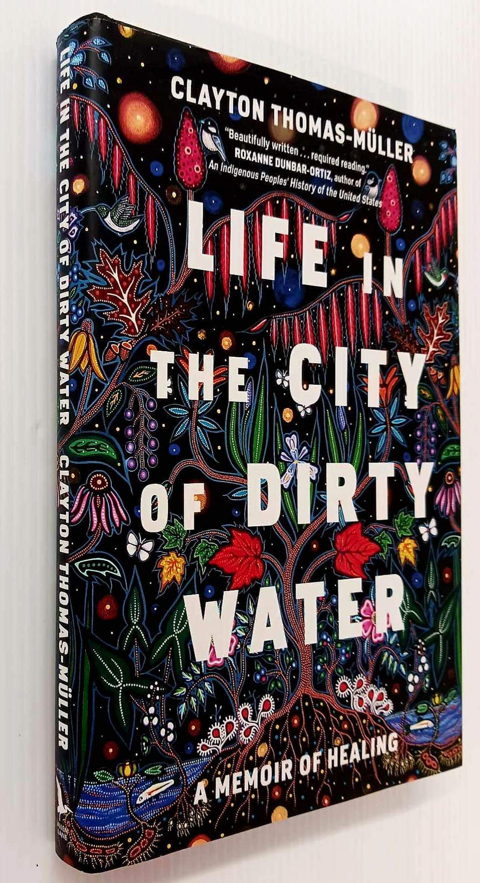 LIFE IN THE CITY OF DIRTY WATER - Clayton Thomas-Muller - Image 5