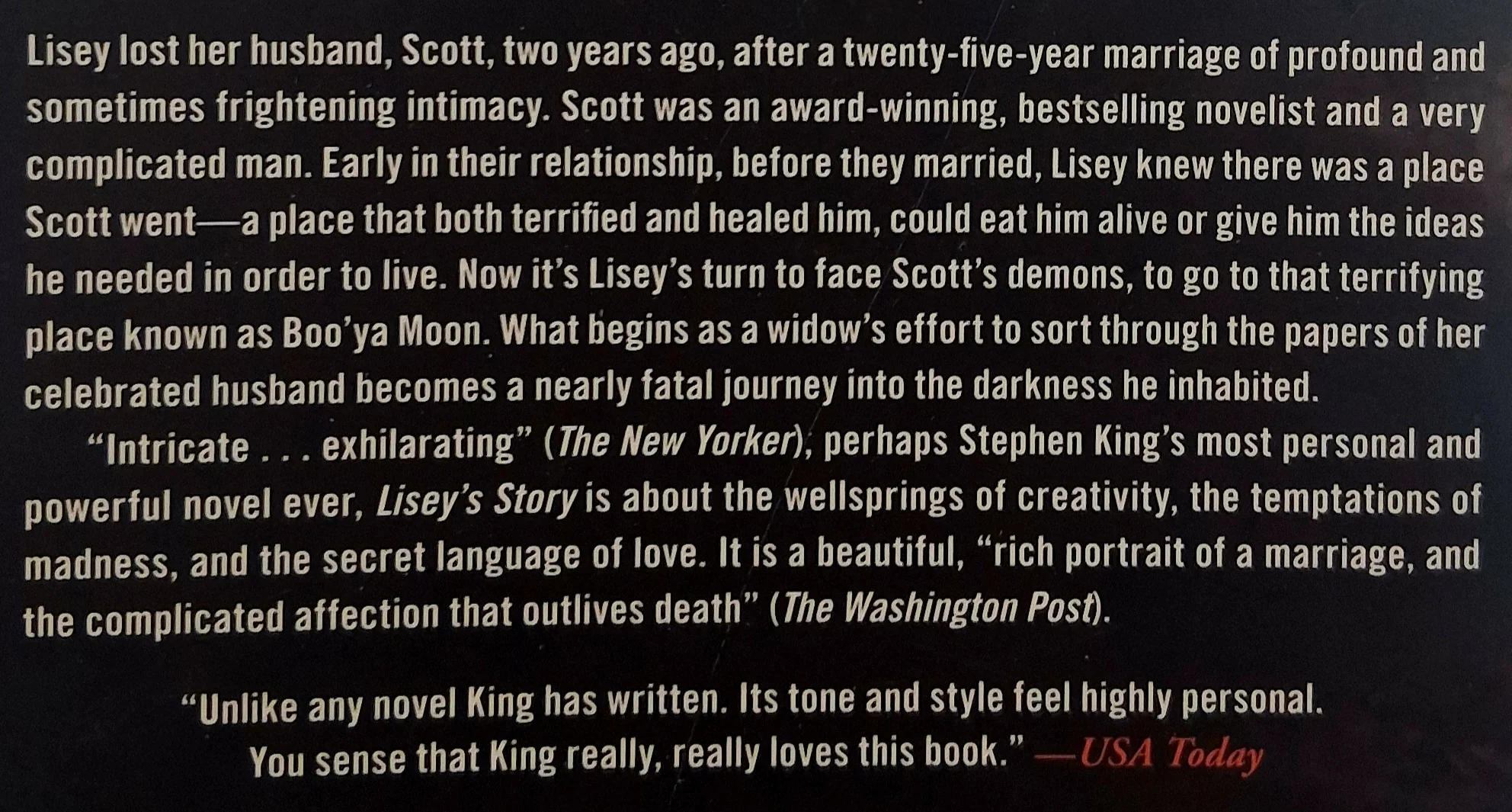 LISEY'S STORY - Stephen King - Image 3
