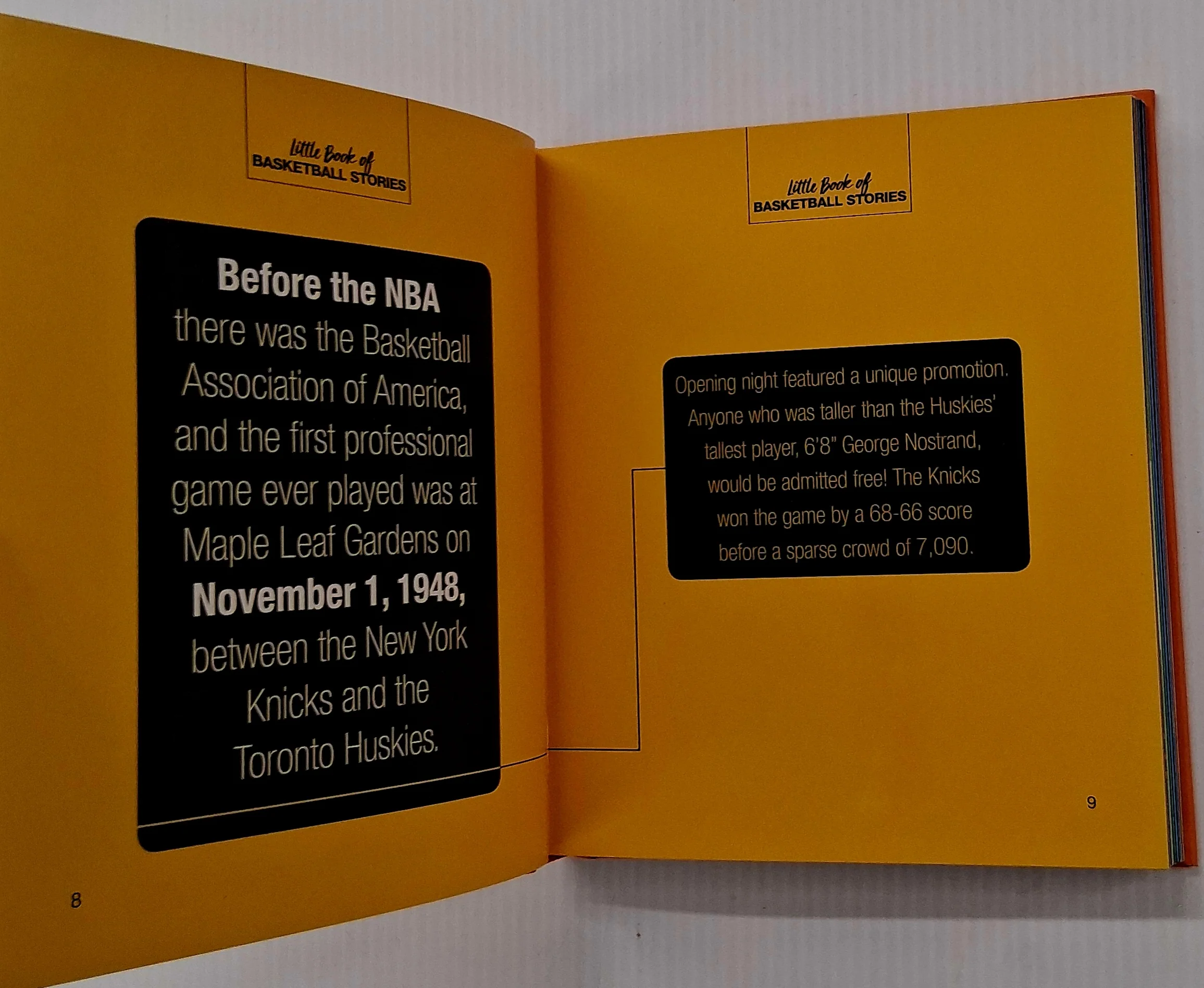LITTLE BOOK OF BASKETBALL STORIES - Andrew Podnieks - Image 3