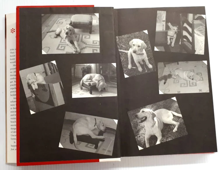 MARLEY & ME - John Grogan - Image 3