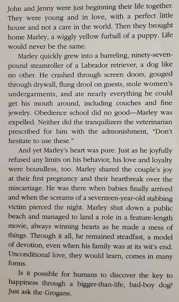 MARLEY & ME - John Grogan - Image 4