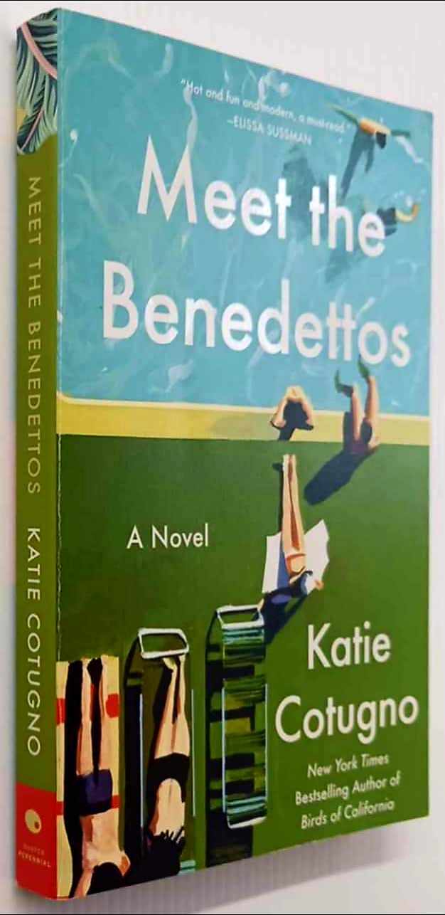MEET THE BENEDETTOS - Katie Cotugno - Image 4