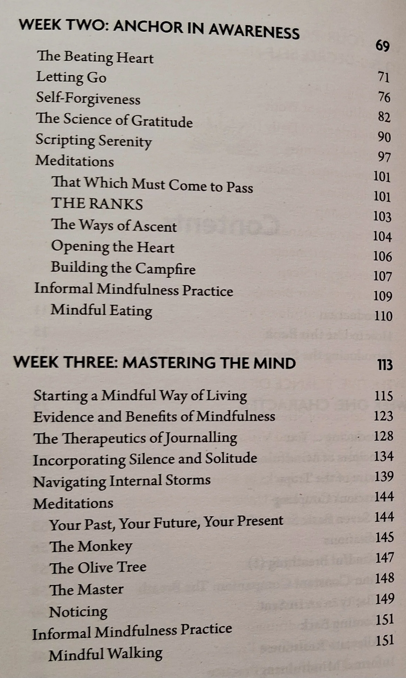 MINDFUL HEALING - Afrosa Ahmed - Image 5