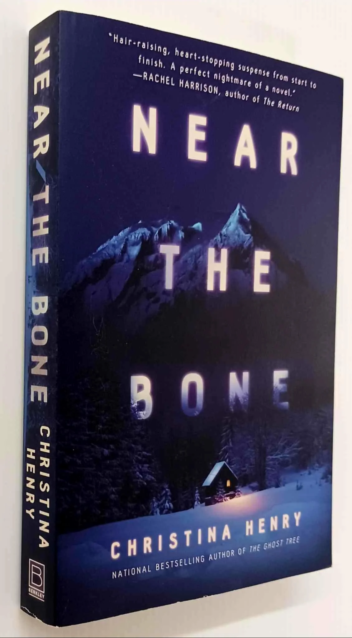 NEAR THE BONE - Christina Henry - Image 4